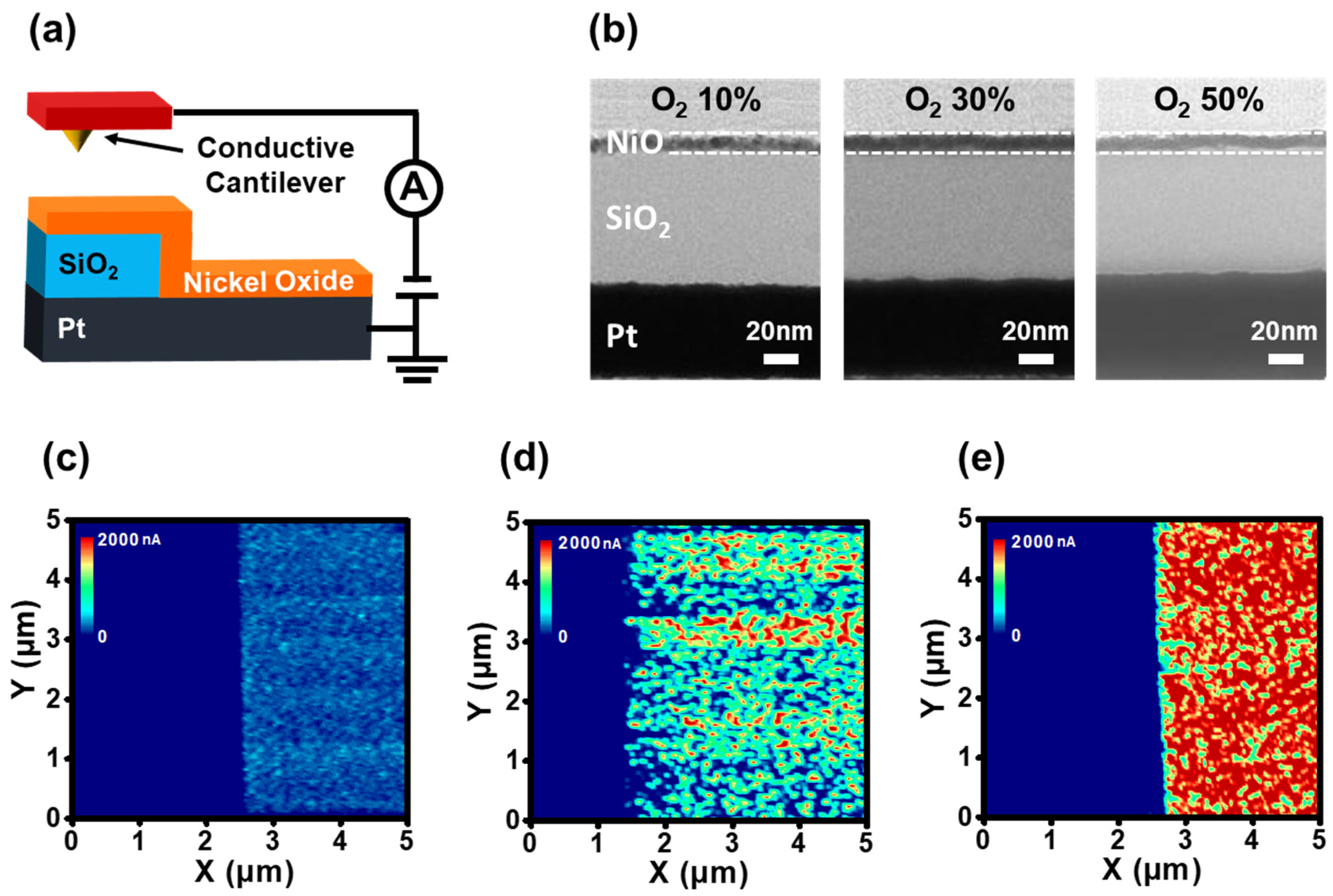 Nanomaterials 12 02231 g005