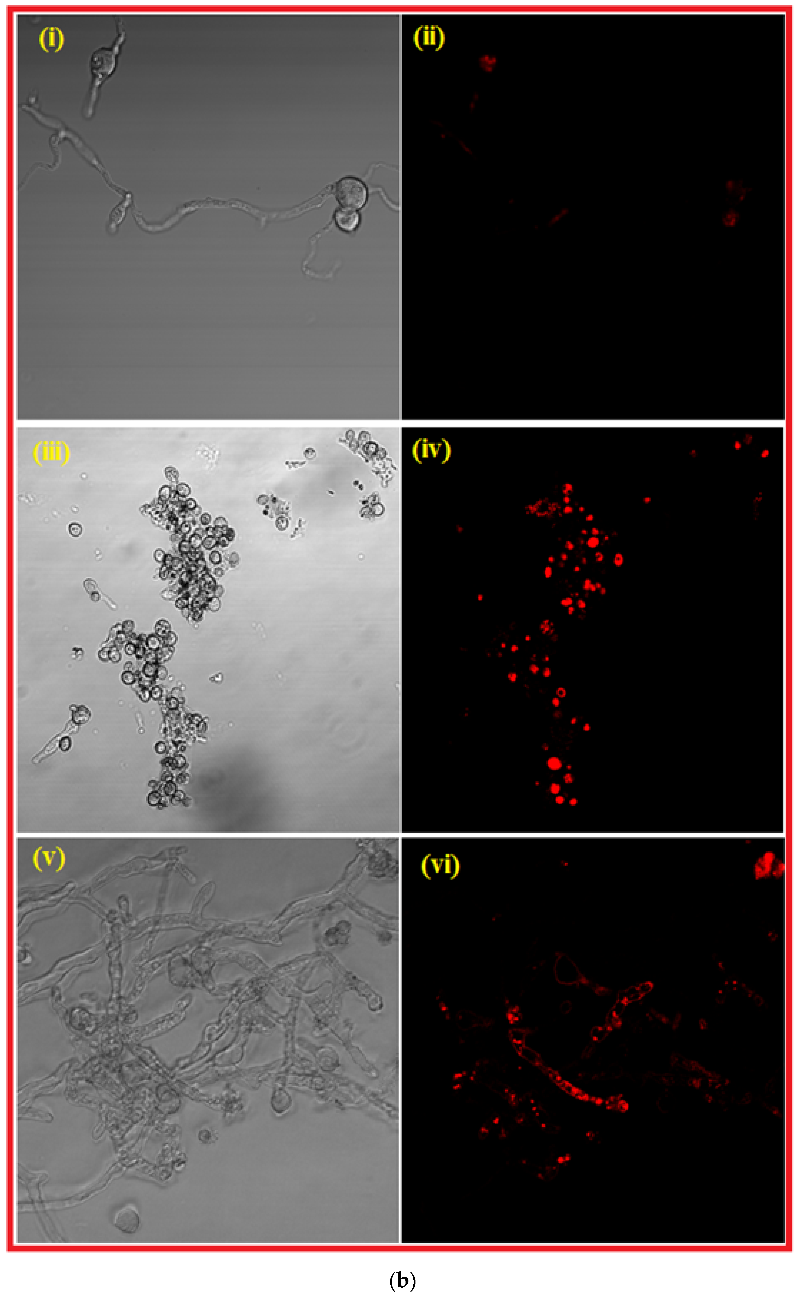 Nanomaterials 12 02235 g006b 550