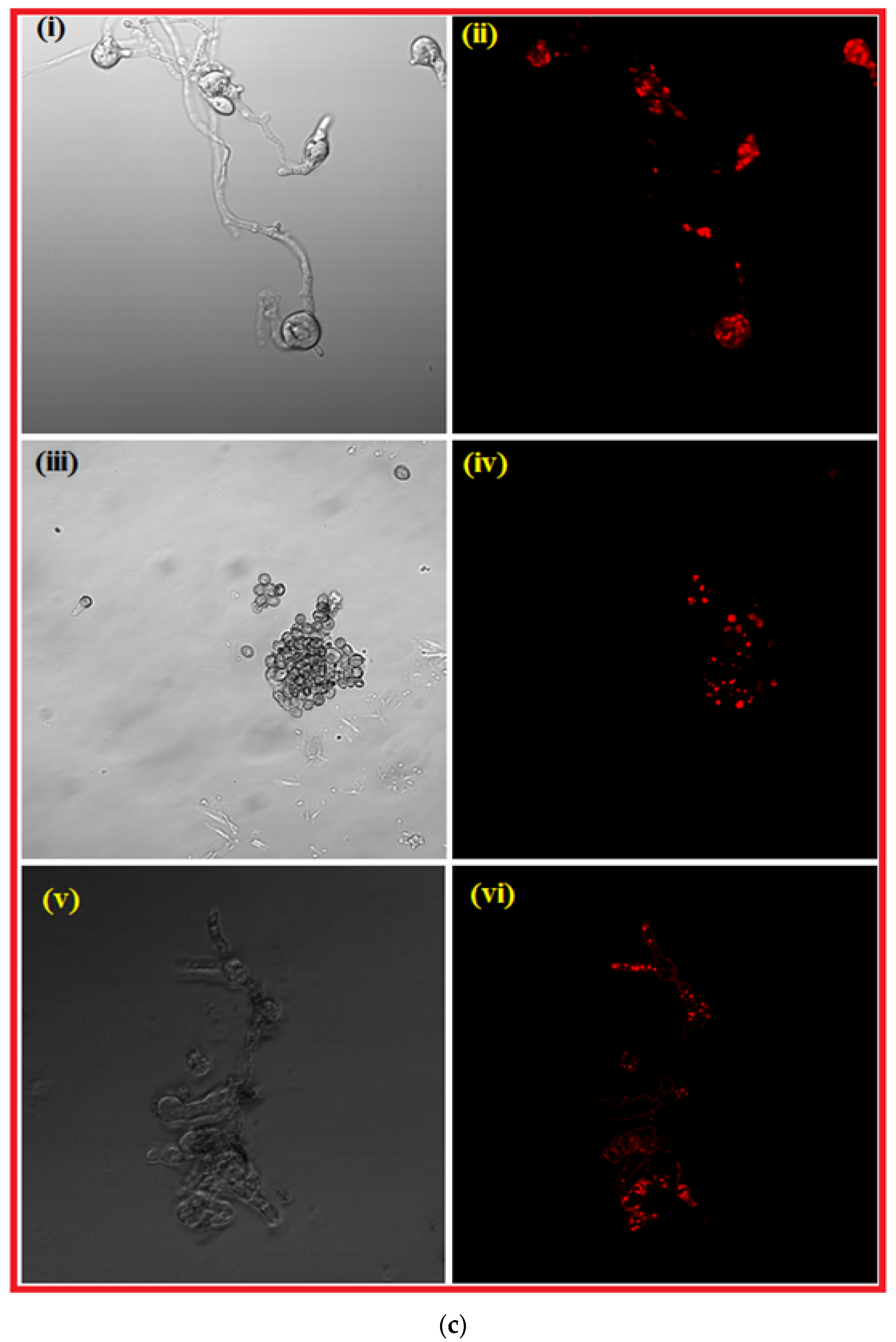 Nanomaterials 12 02235 g006c 550