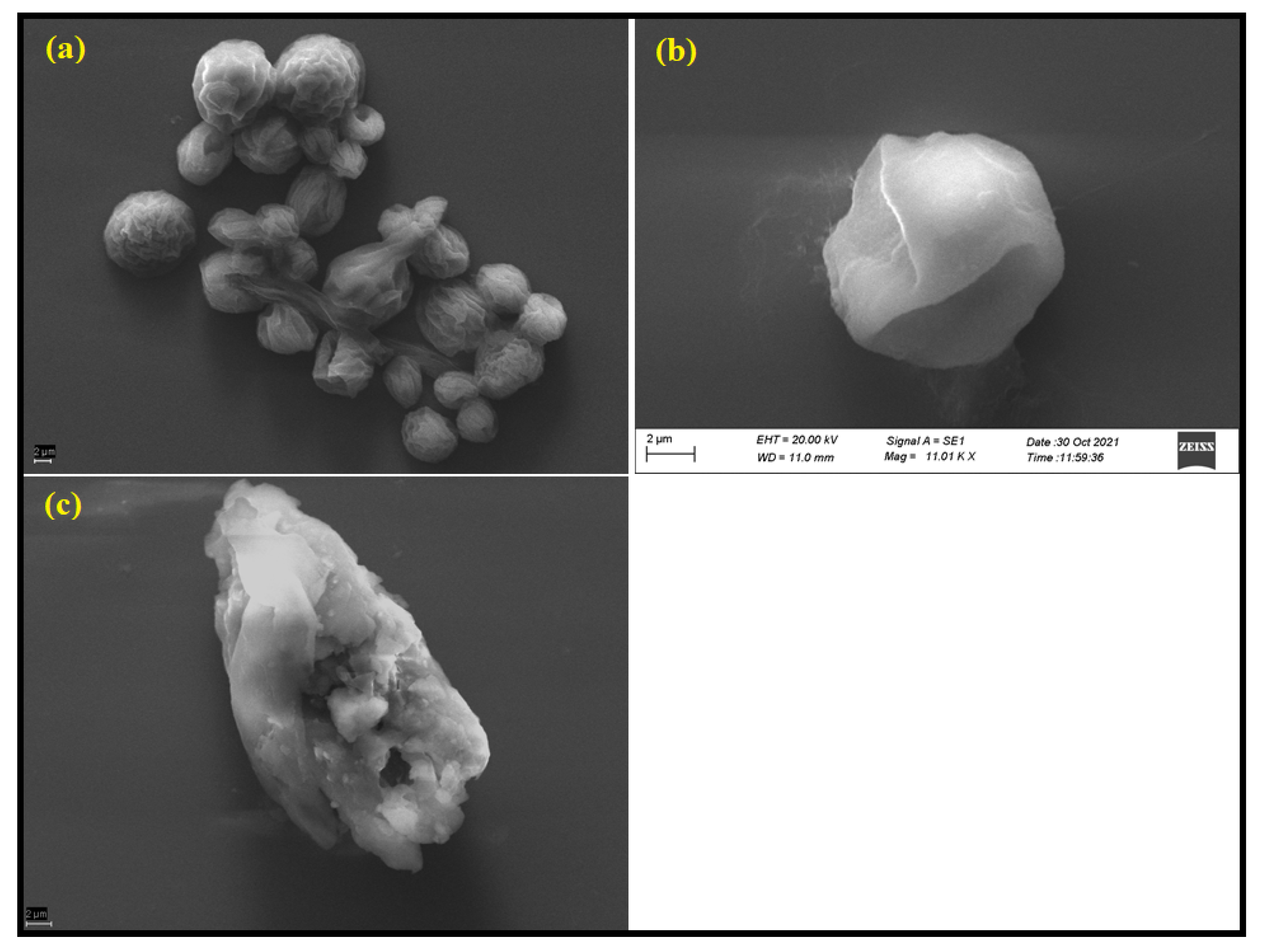 Nanomaterials 12 02235 g007 550