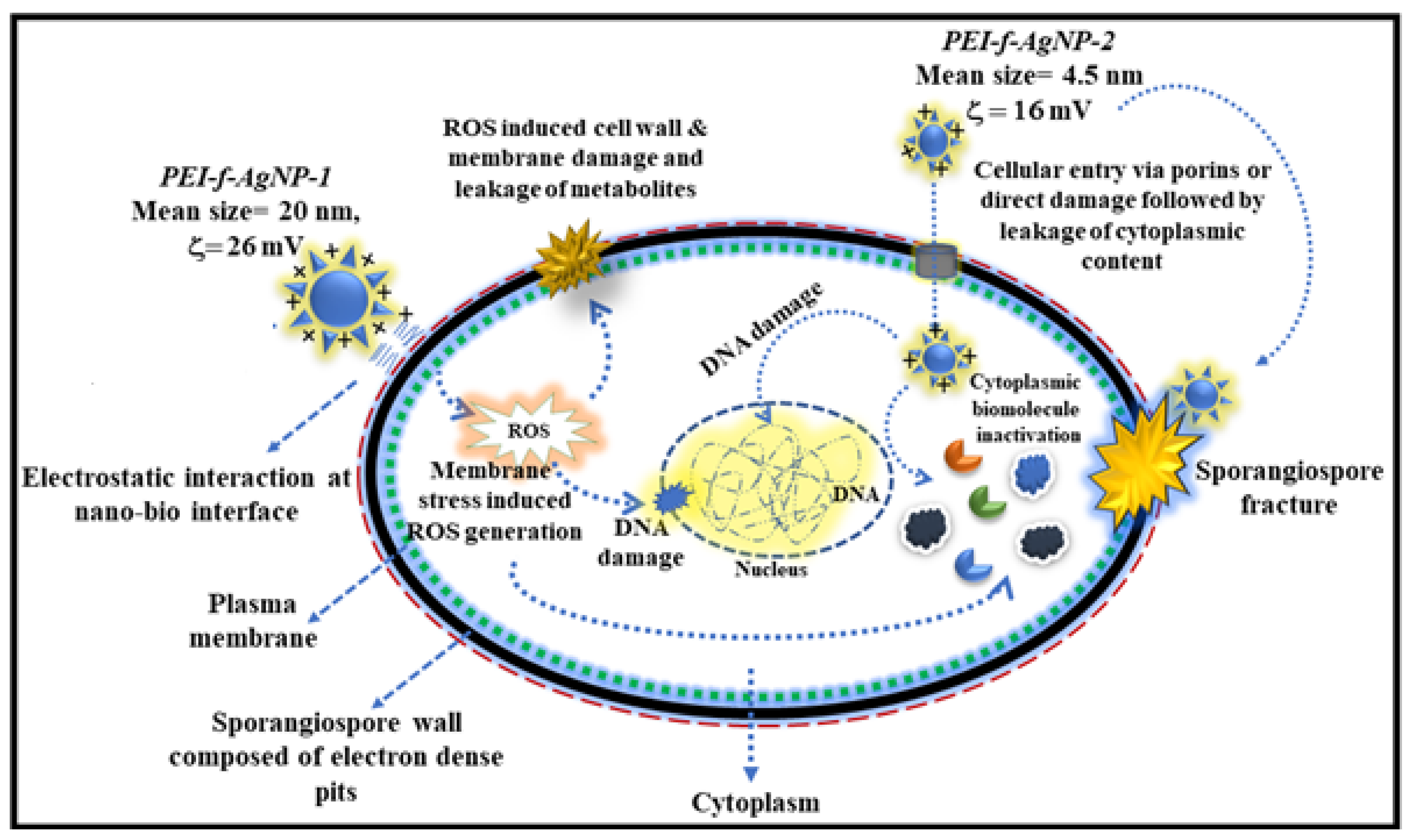 Nanomaterials 12 02235 g010 550