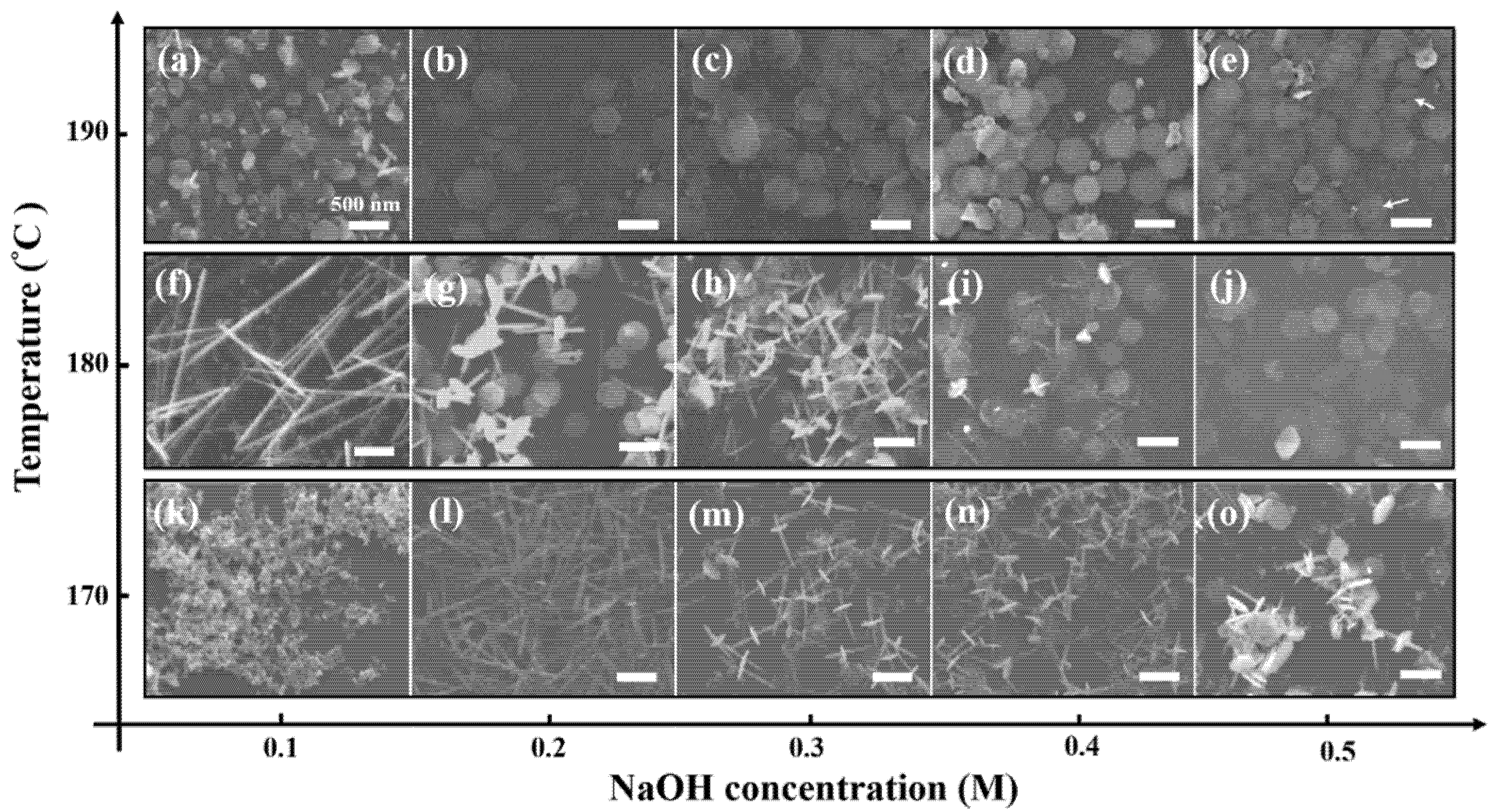 Nanomaterials 12 02236 g002 550
