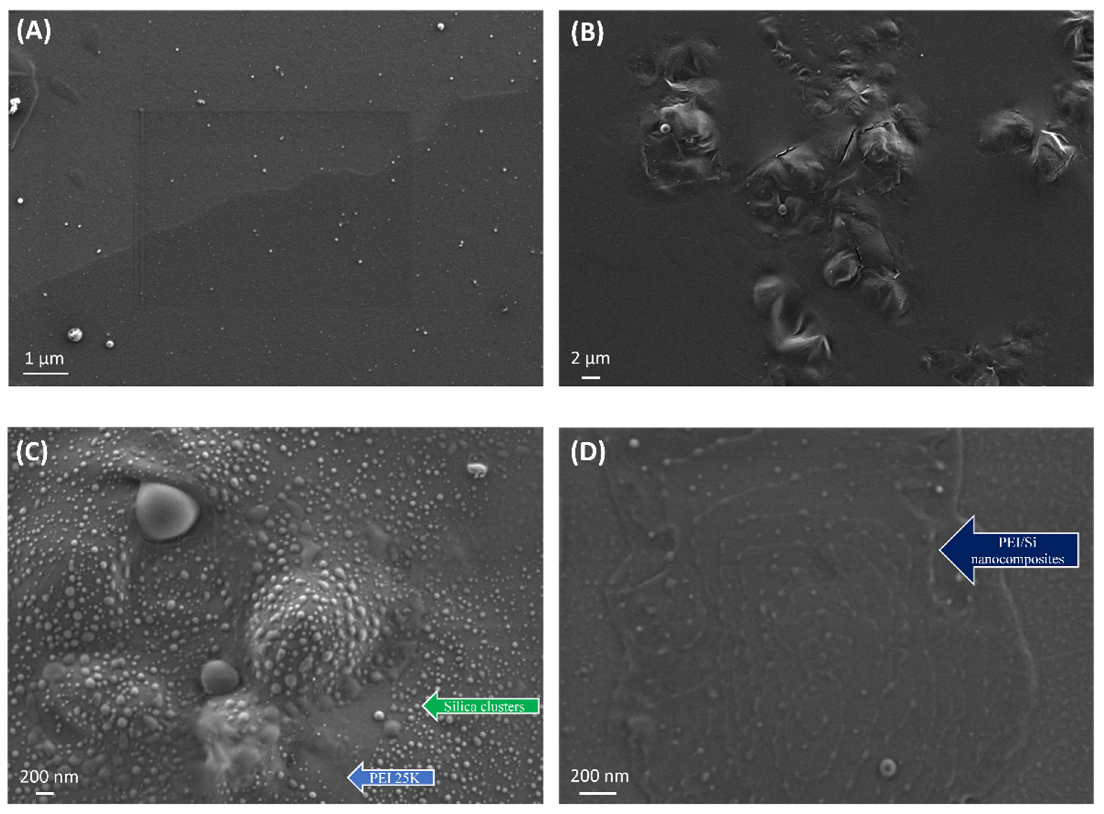 Nanomaterials 12 02237 g010 550