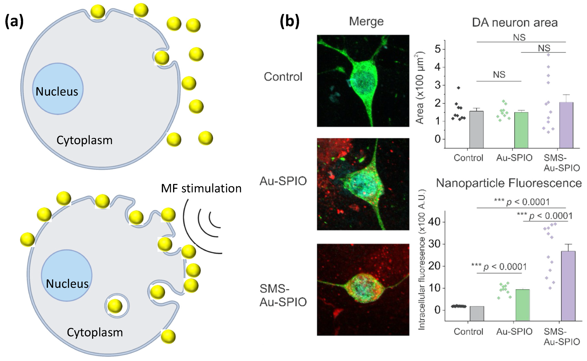 Nanomaterials 12 02242 g003 Nanomaterials 12 02242 g003