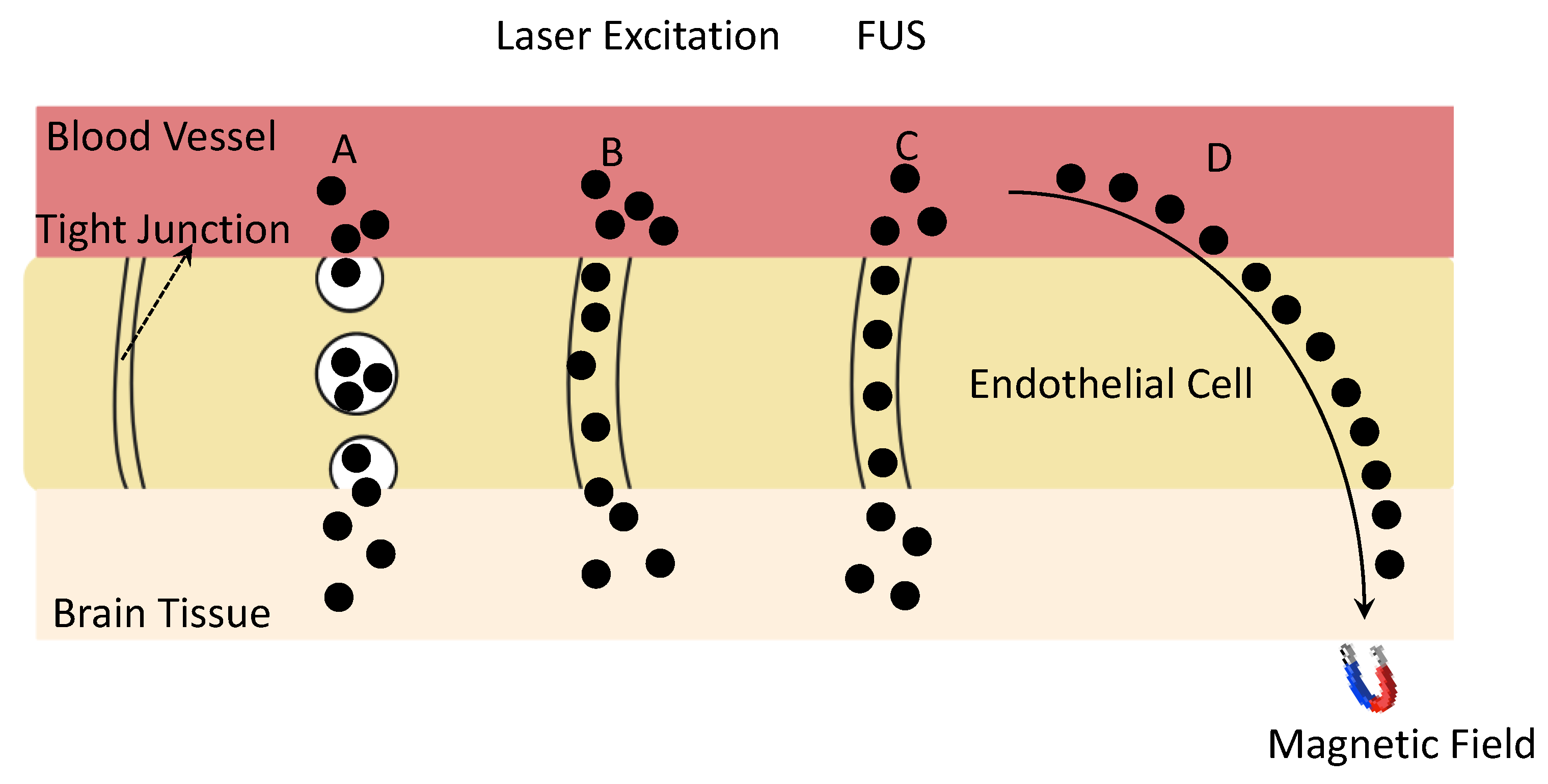 Nanomaterials 12 02242 g004 Nanomaterials 12 02242 g004