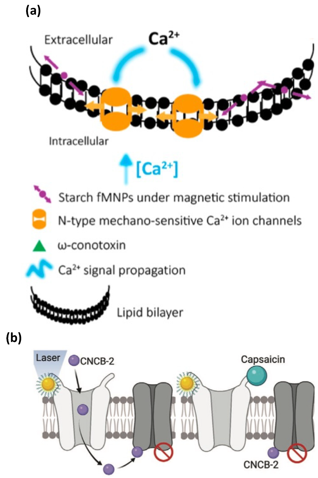 Nanomaterials 12 02242 g007 Nanomaterials 12 02242 g007