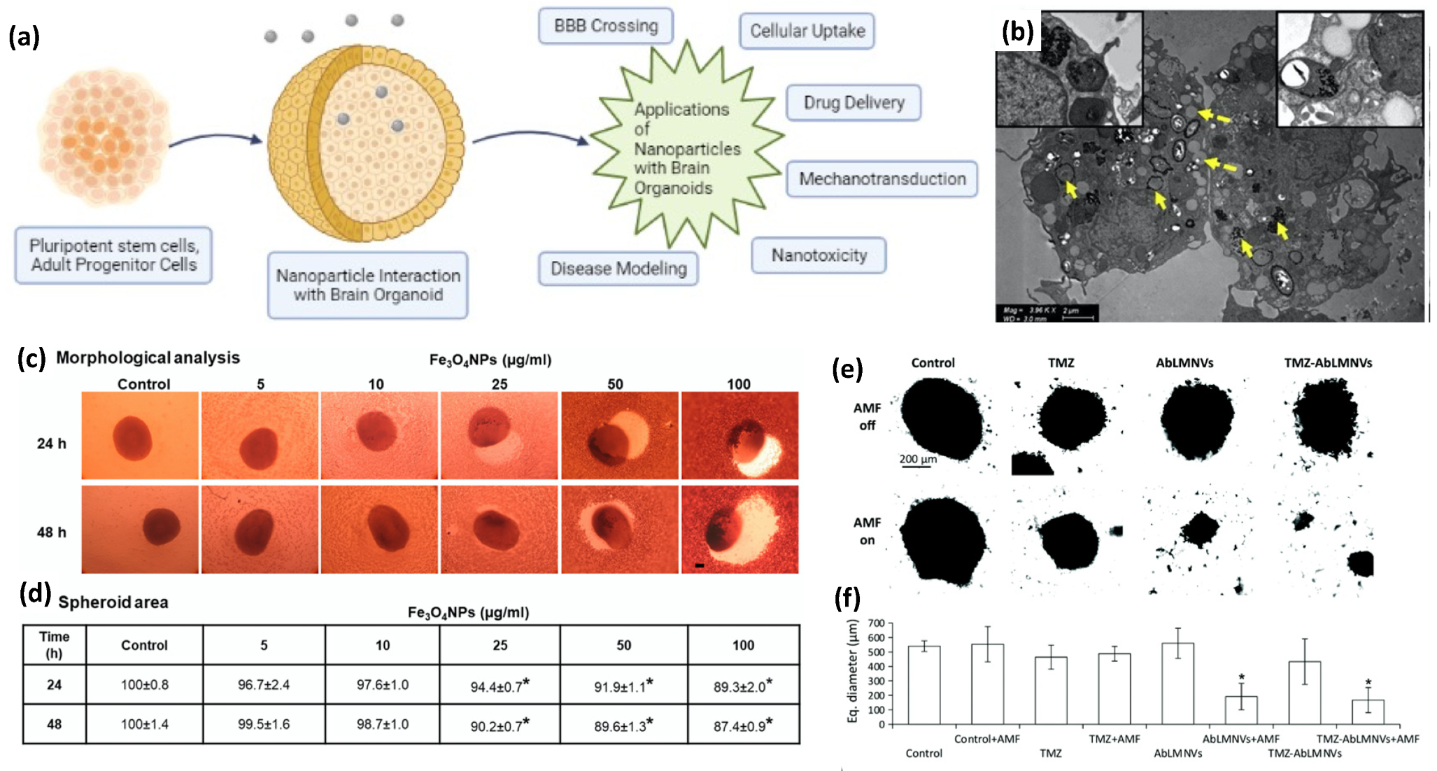 Nanomaterials 12 02242 g008 Nanomaterials 12 02242 g008