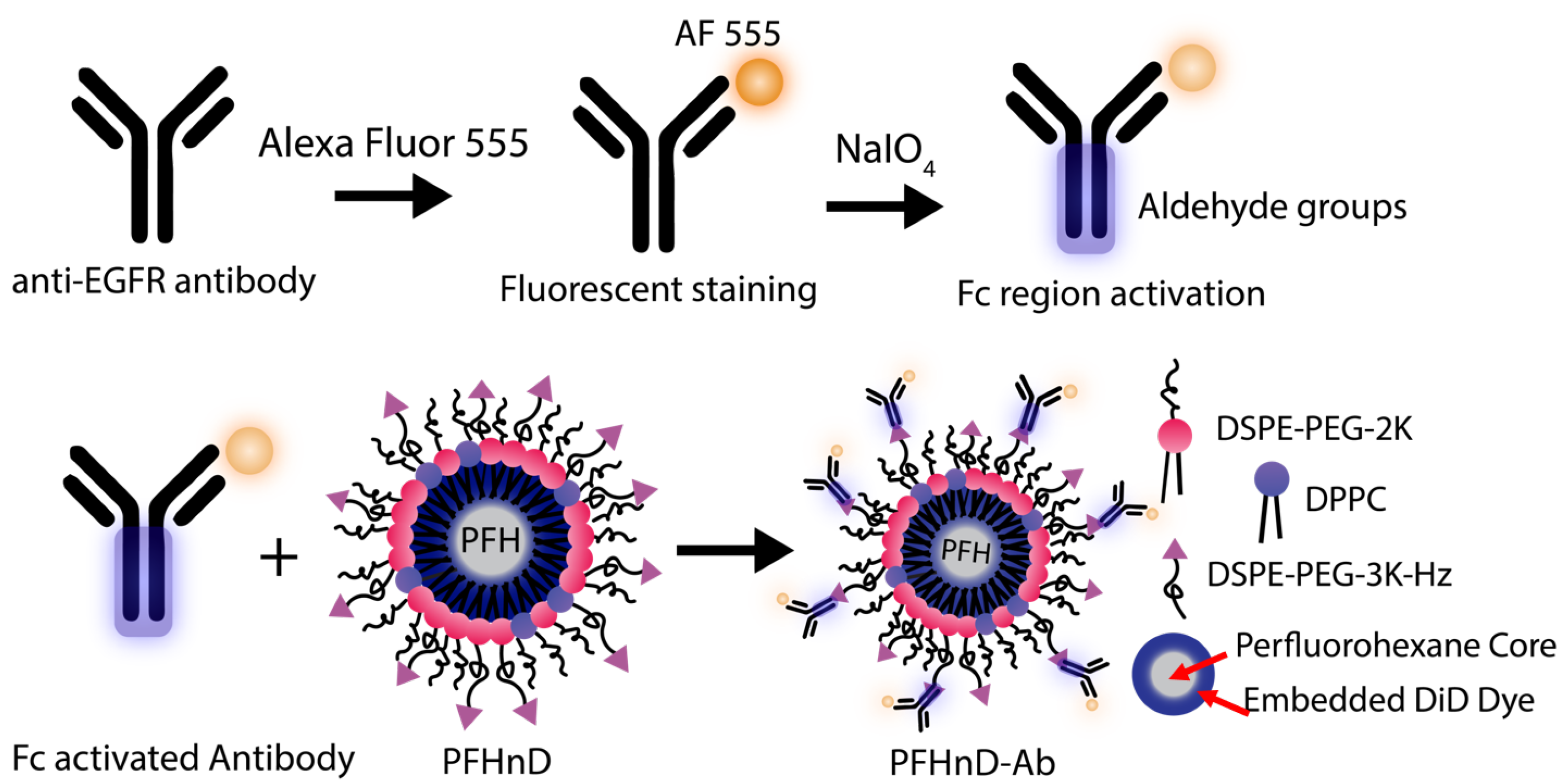 Nanomaterials 12 02251 g001
