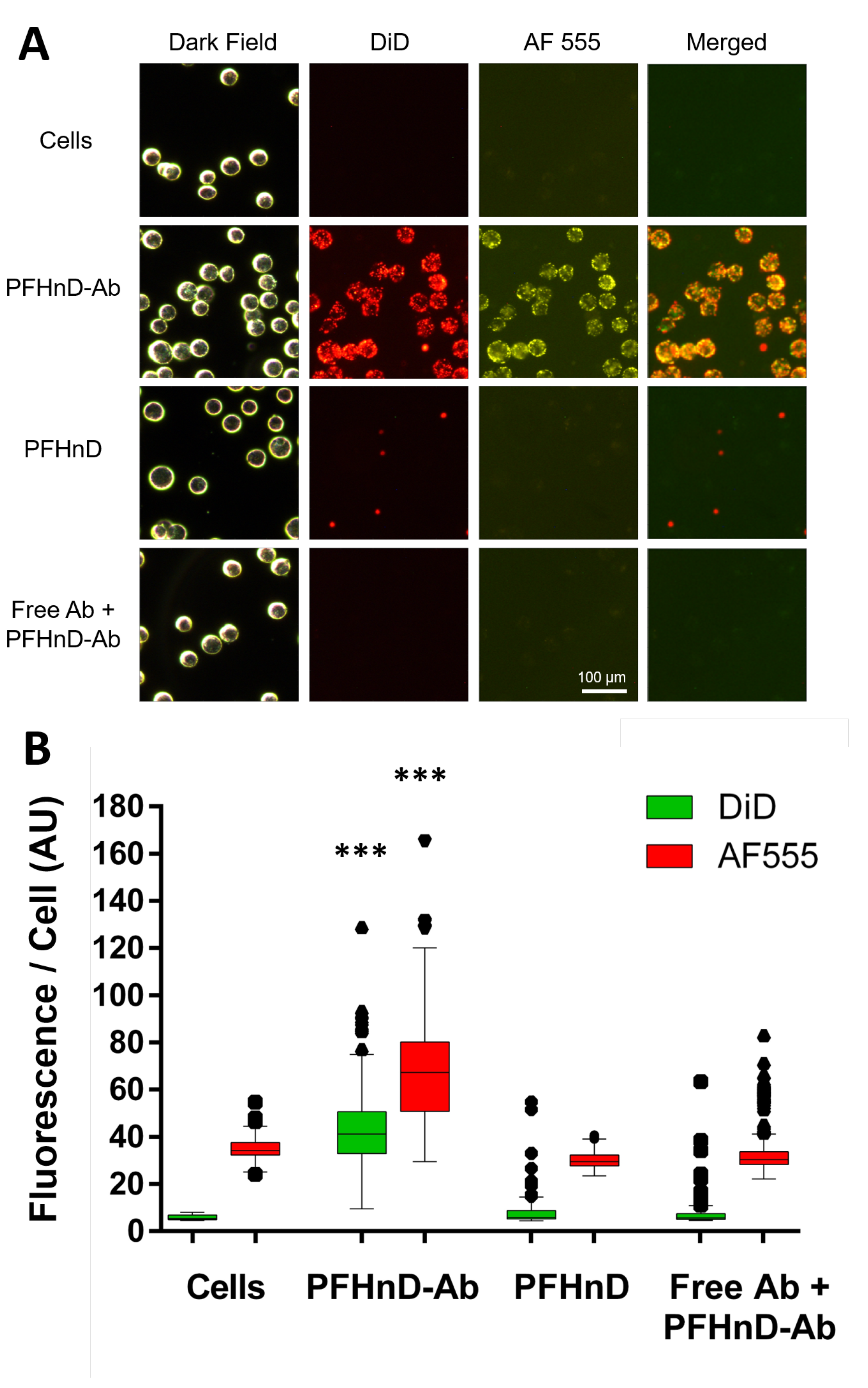Nanomaterials 12 02251 g004