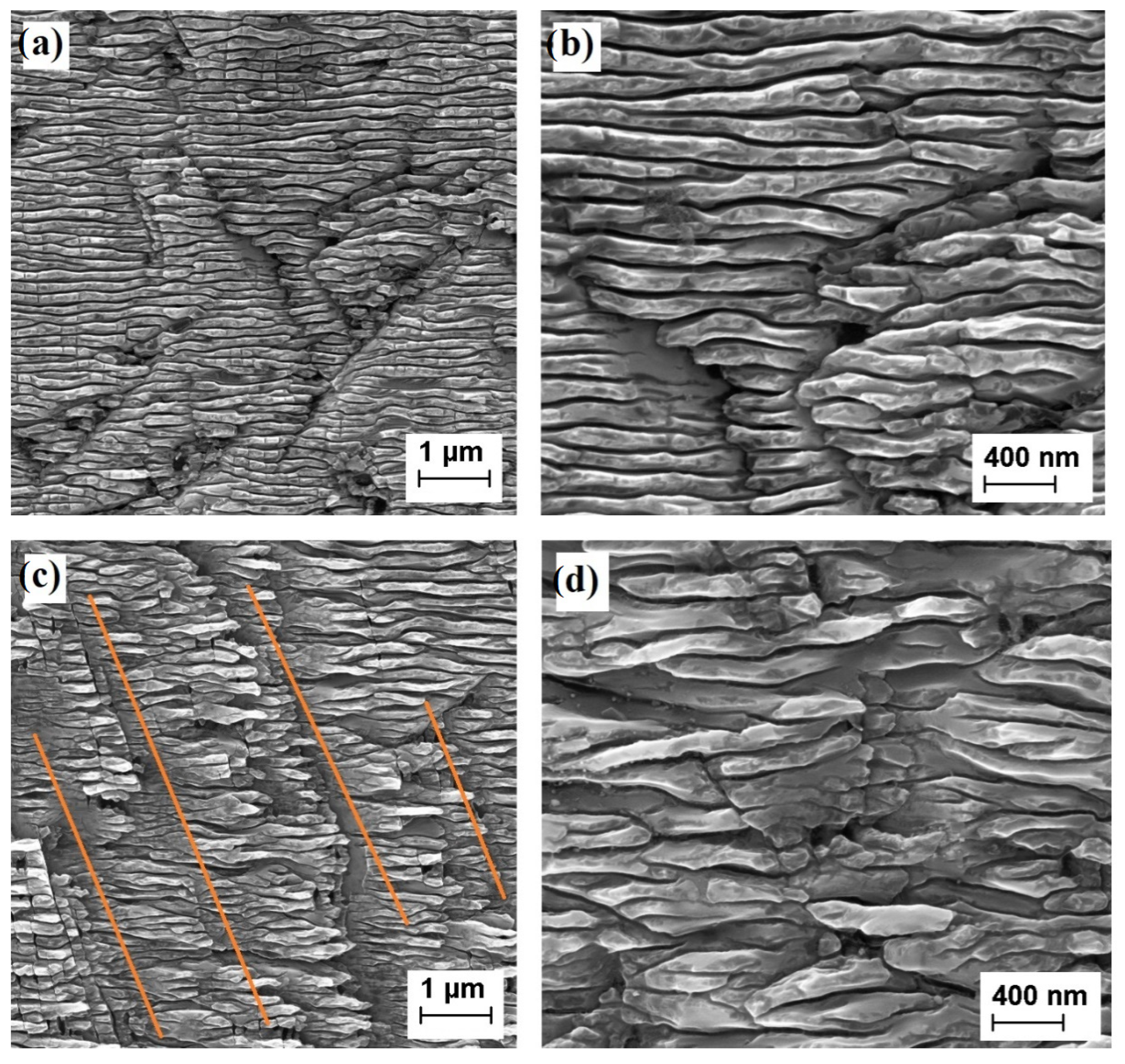 Nanomaterials 12 02253 g002