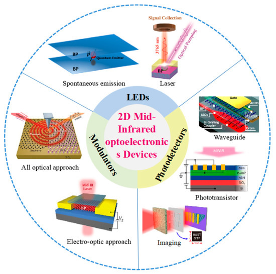 Mid-Infrared Optoelectronic Devices Based on Two-Dimensional