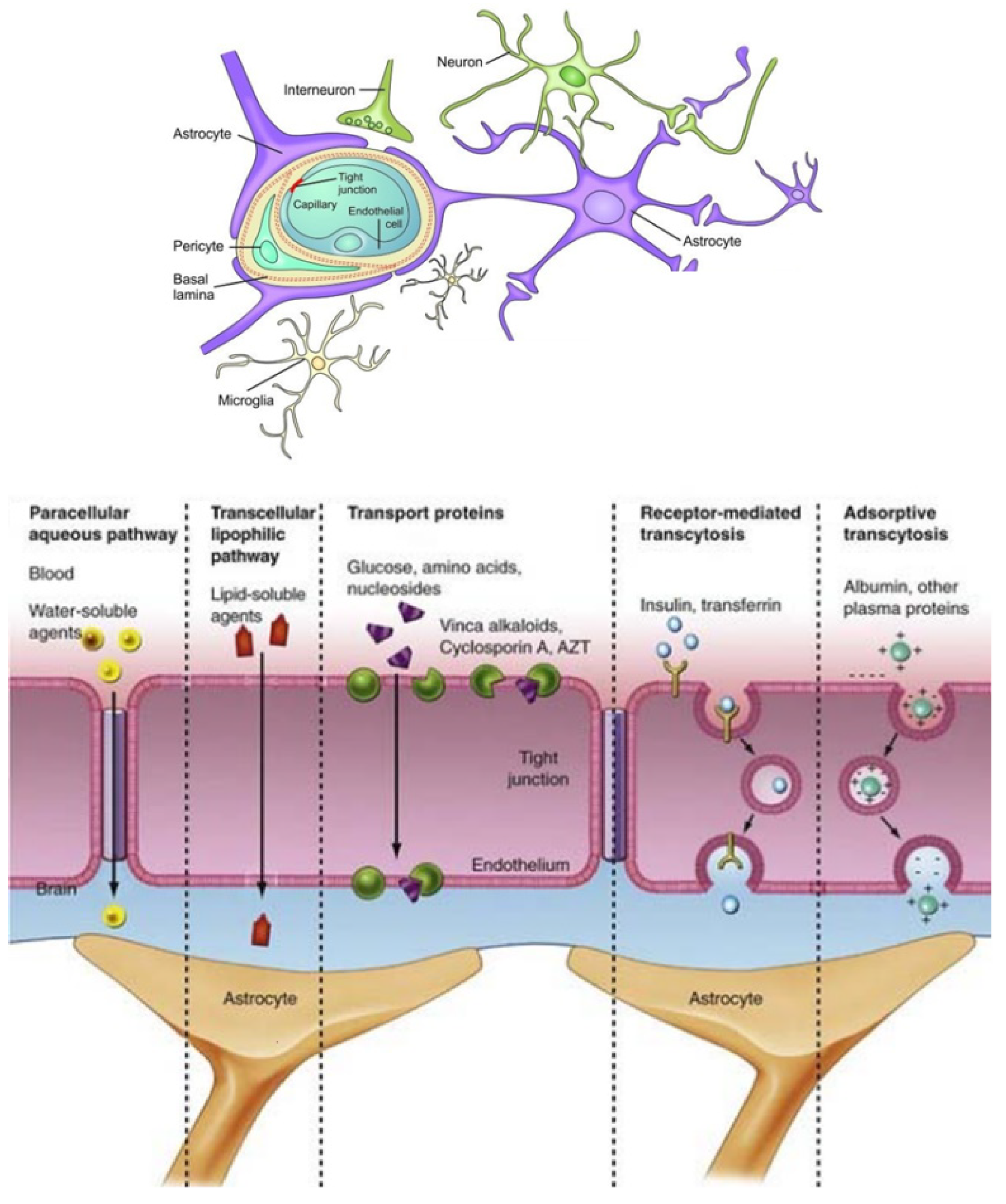 Nanomaterials 12 02267 g003 550
