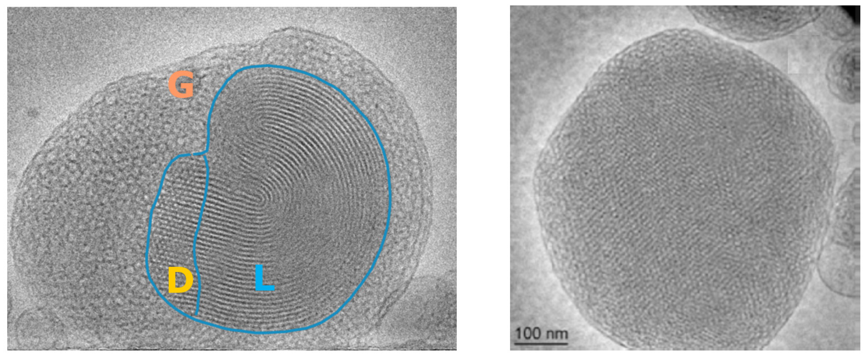 Nanomaterials 12 02267 g004 550