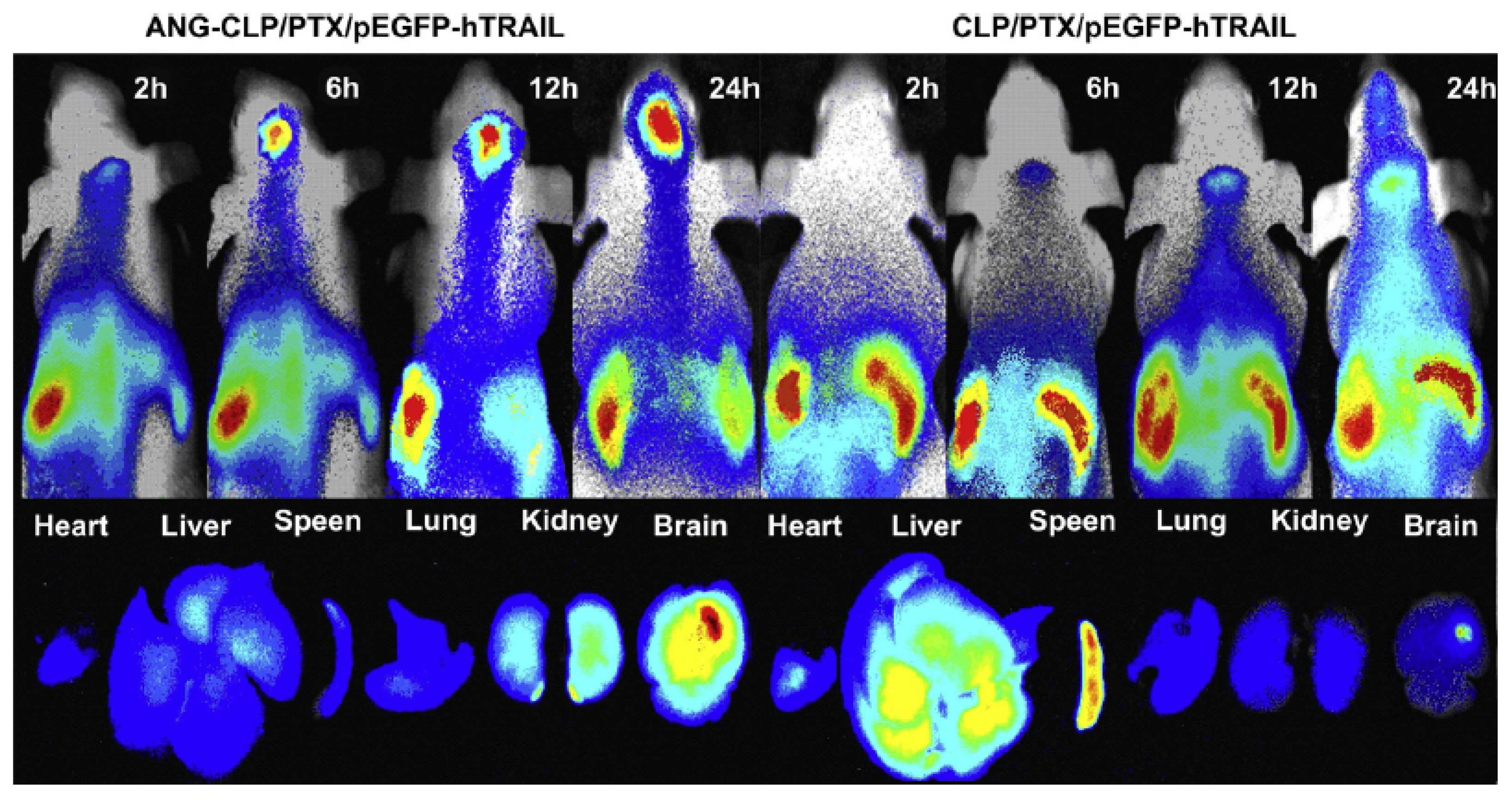 Nanomaterials 12 02267 g005 550