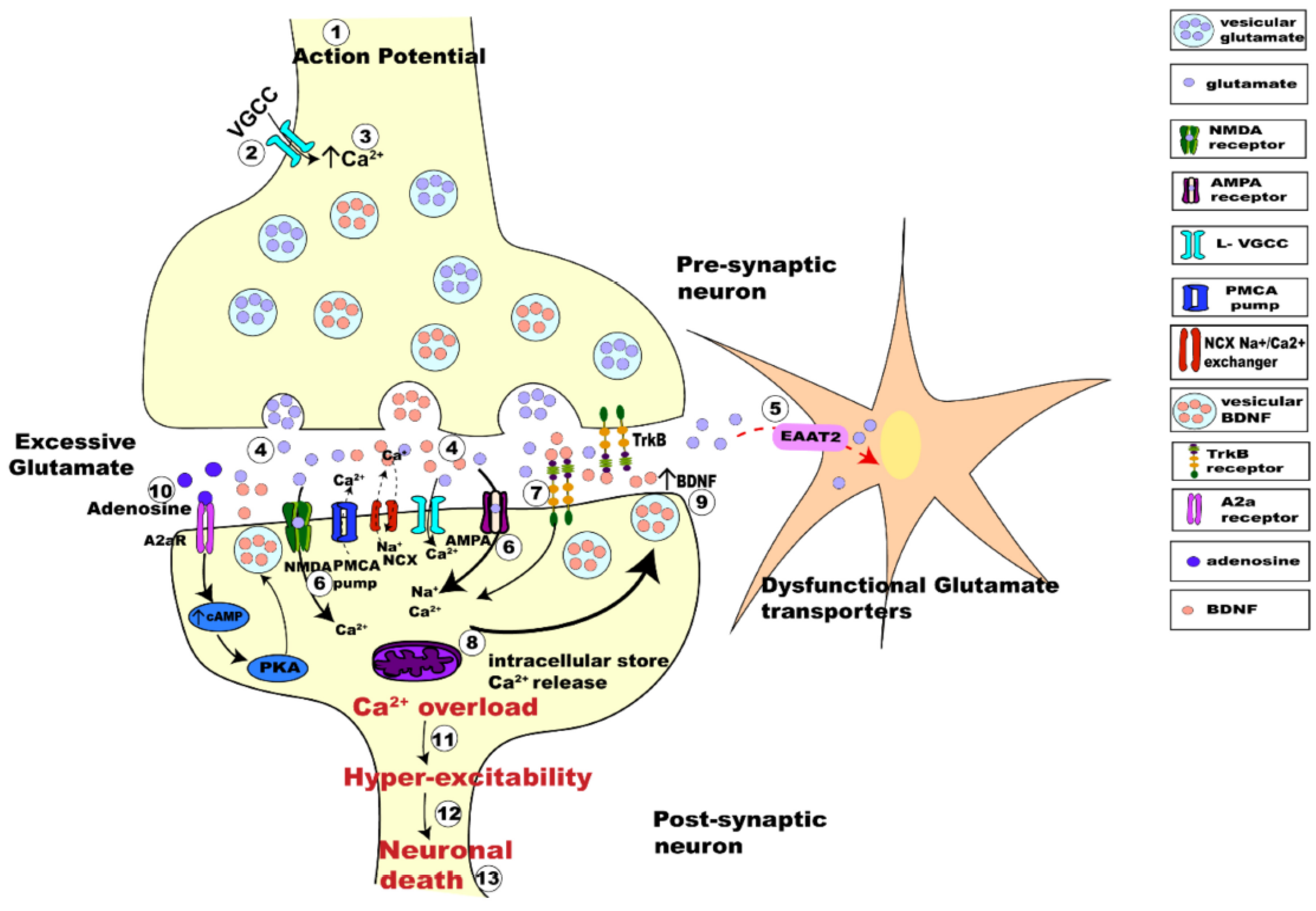 Nanomaterials 12 02267 g007 550