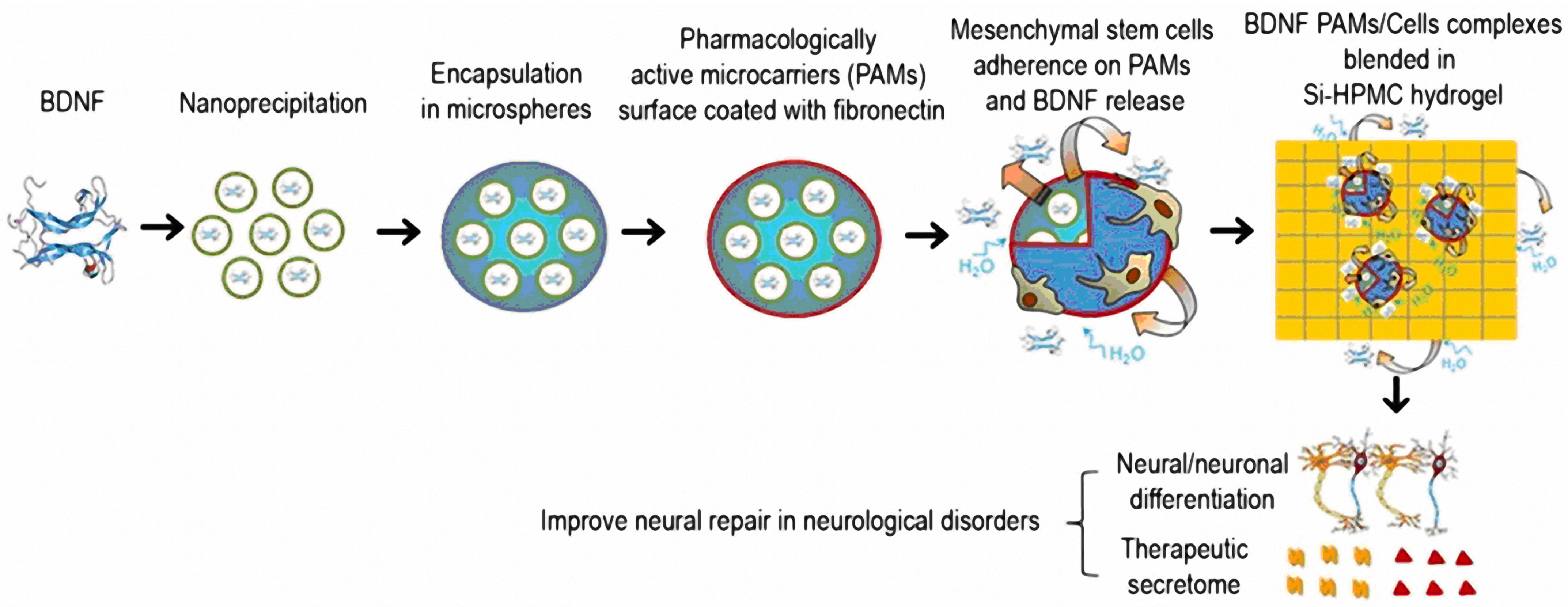Nanomaterials 12 02267 g009 550