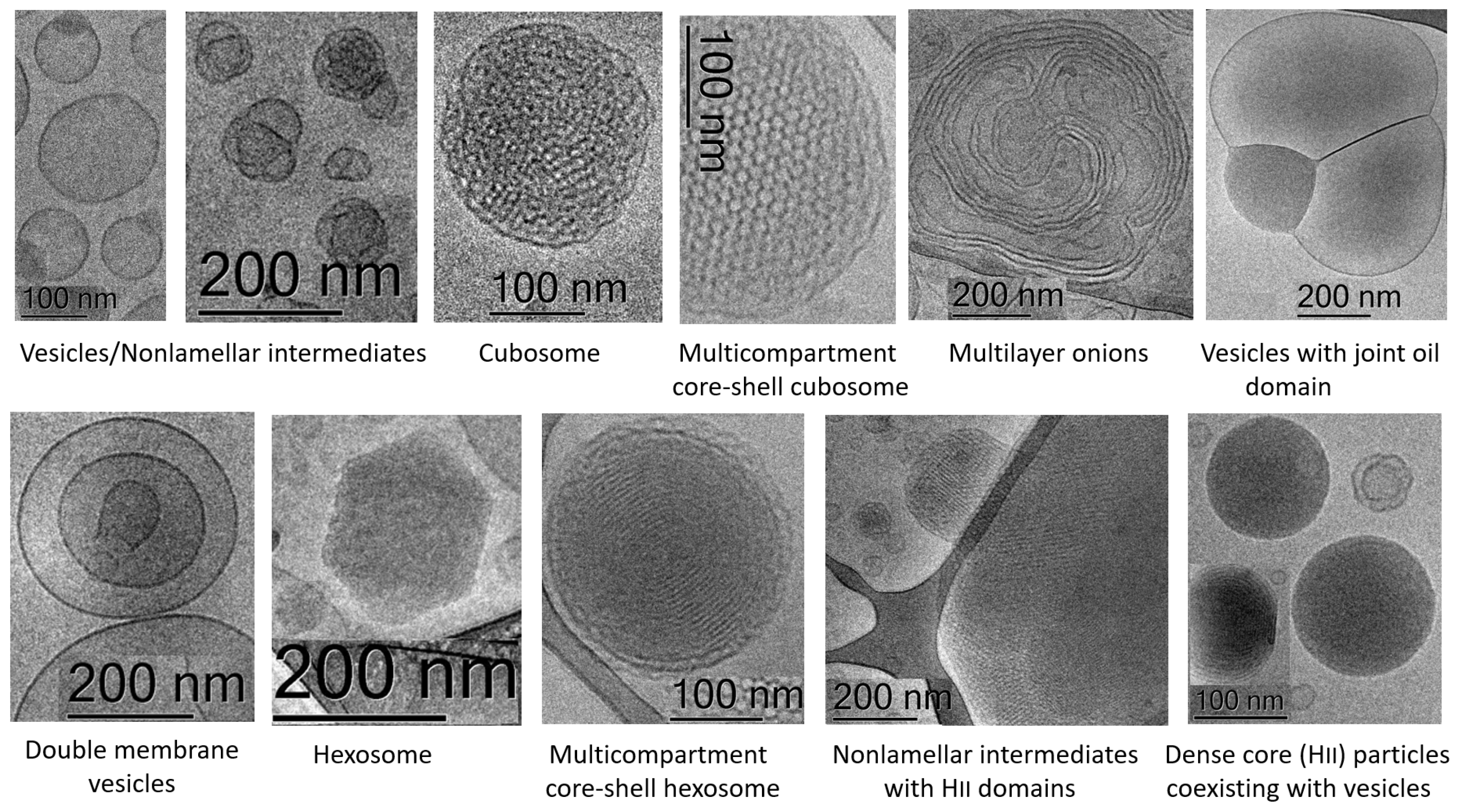 Nanomaterials 12 02267 g011 550