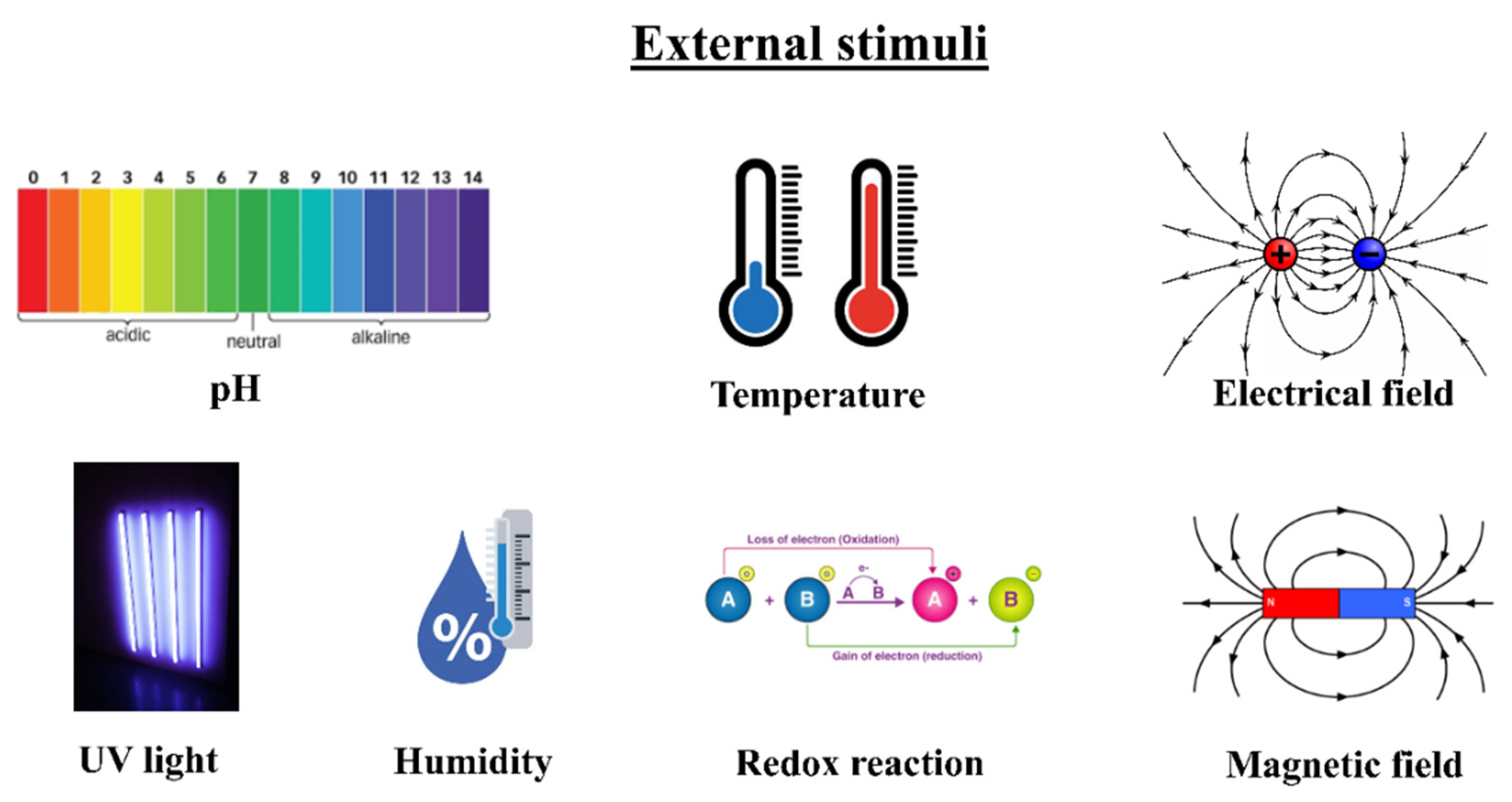 Nanomaterials 12 02272 g001 550