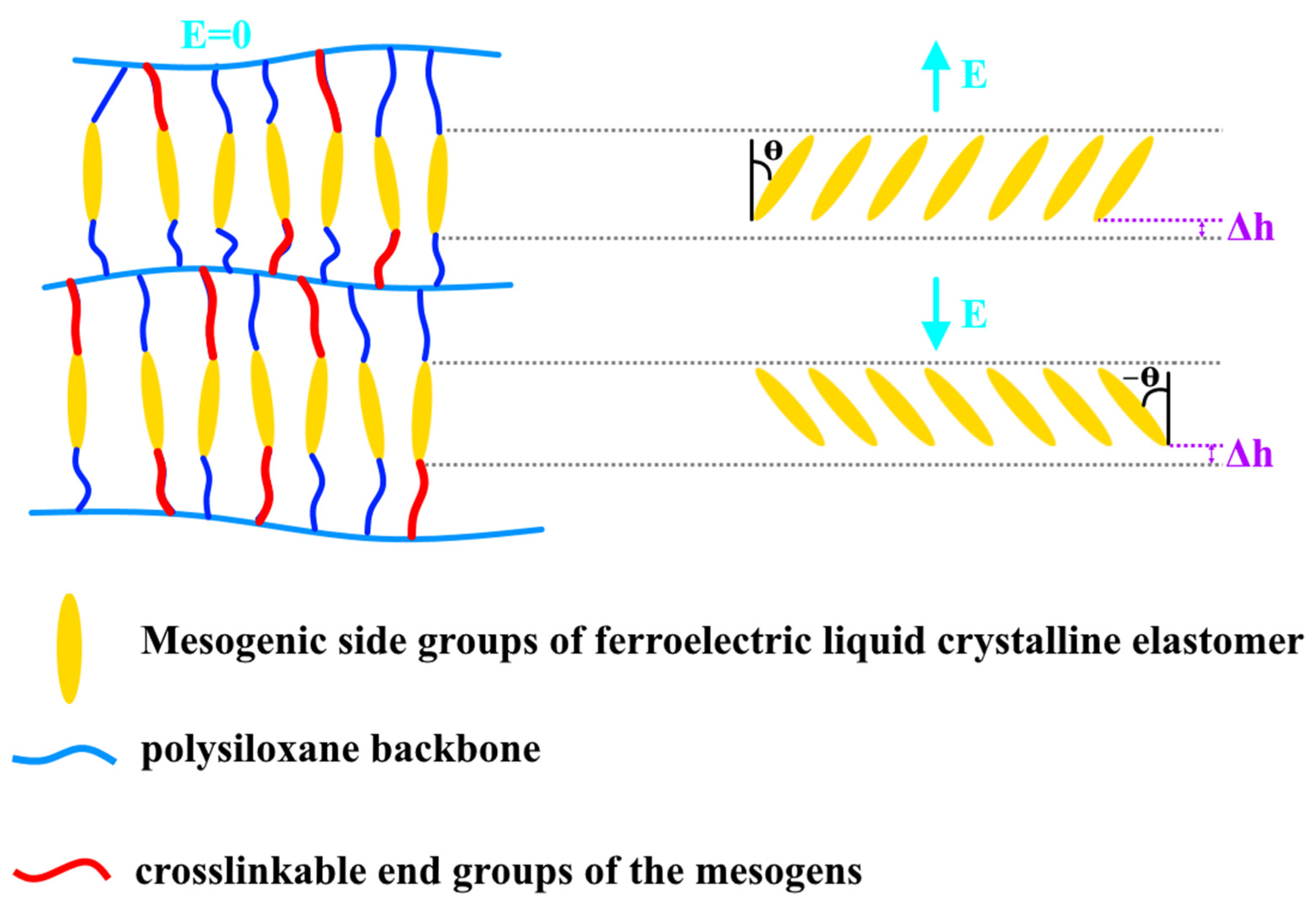 Nanomaterials 12 02272 g011 550