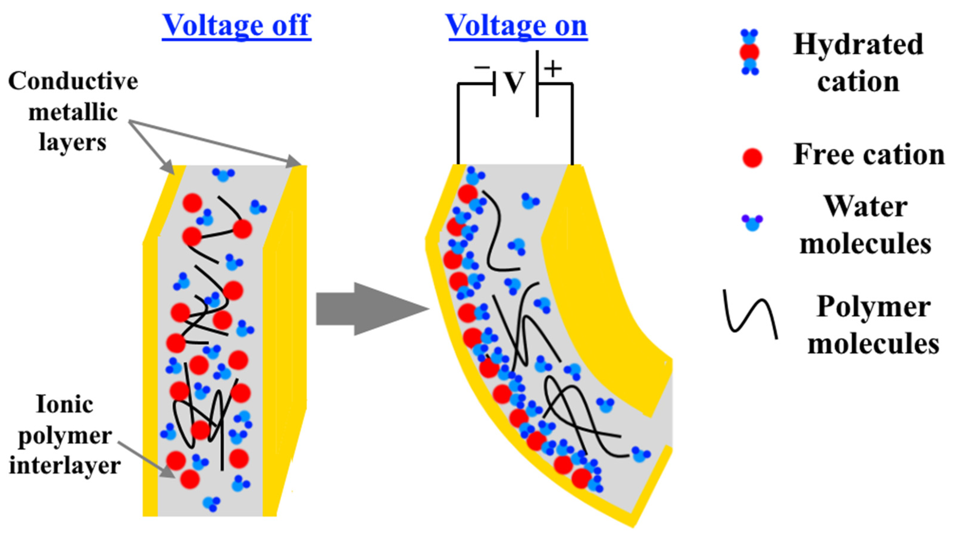 Nanomaterials Free FullText Electroactive PolymerBased Composites
