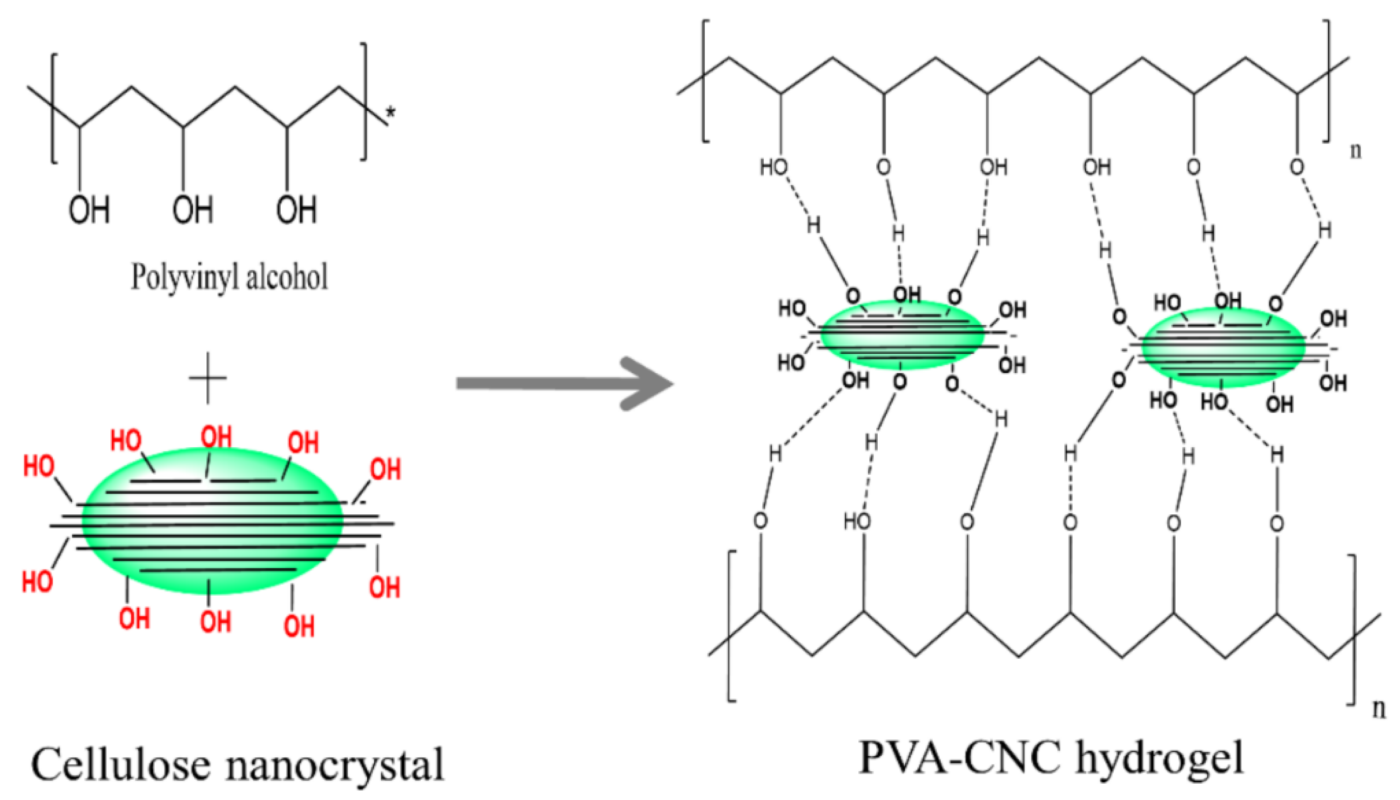 Nanomaterials 12 02272 g016 550
