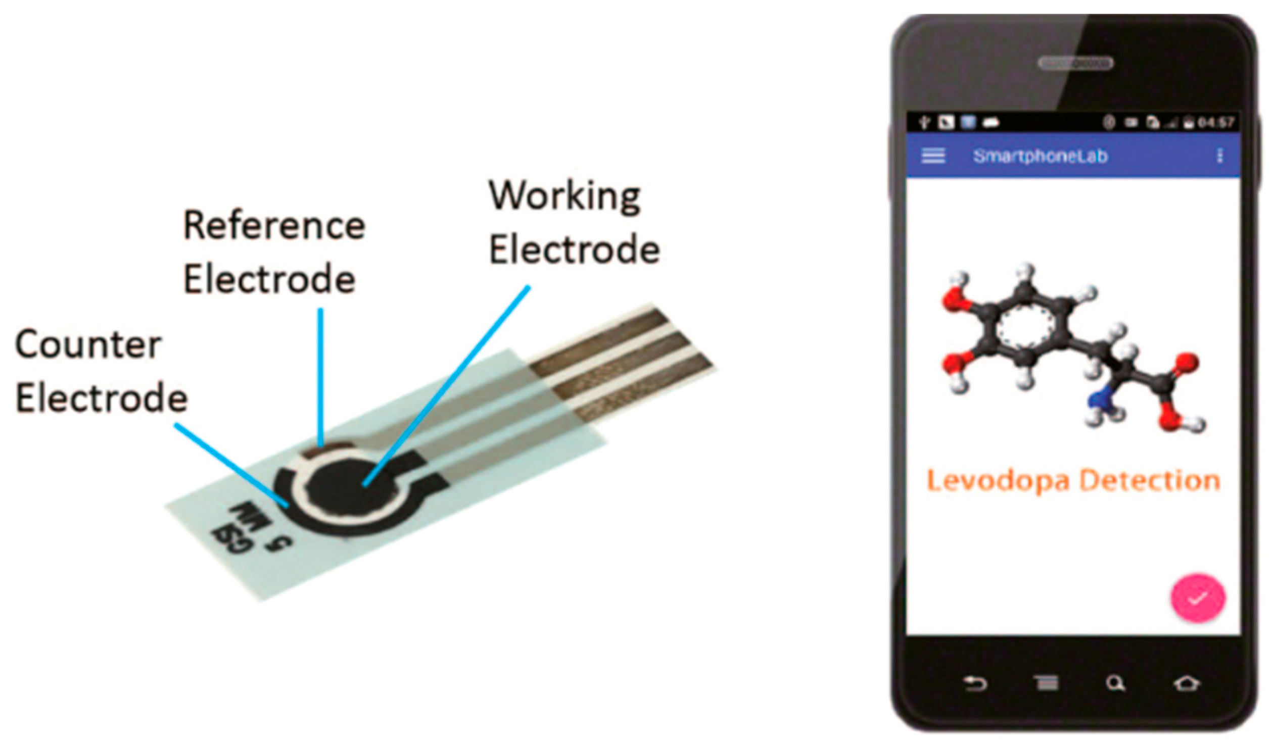 Nanomaterials 12 02283 g004 550