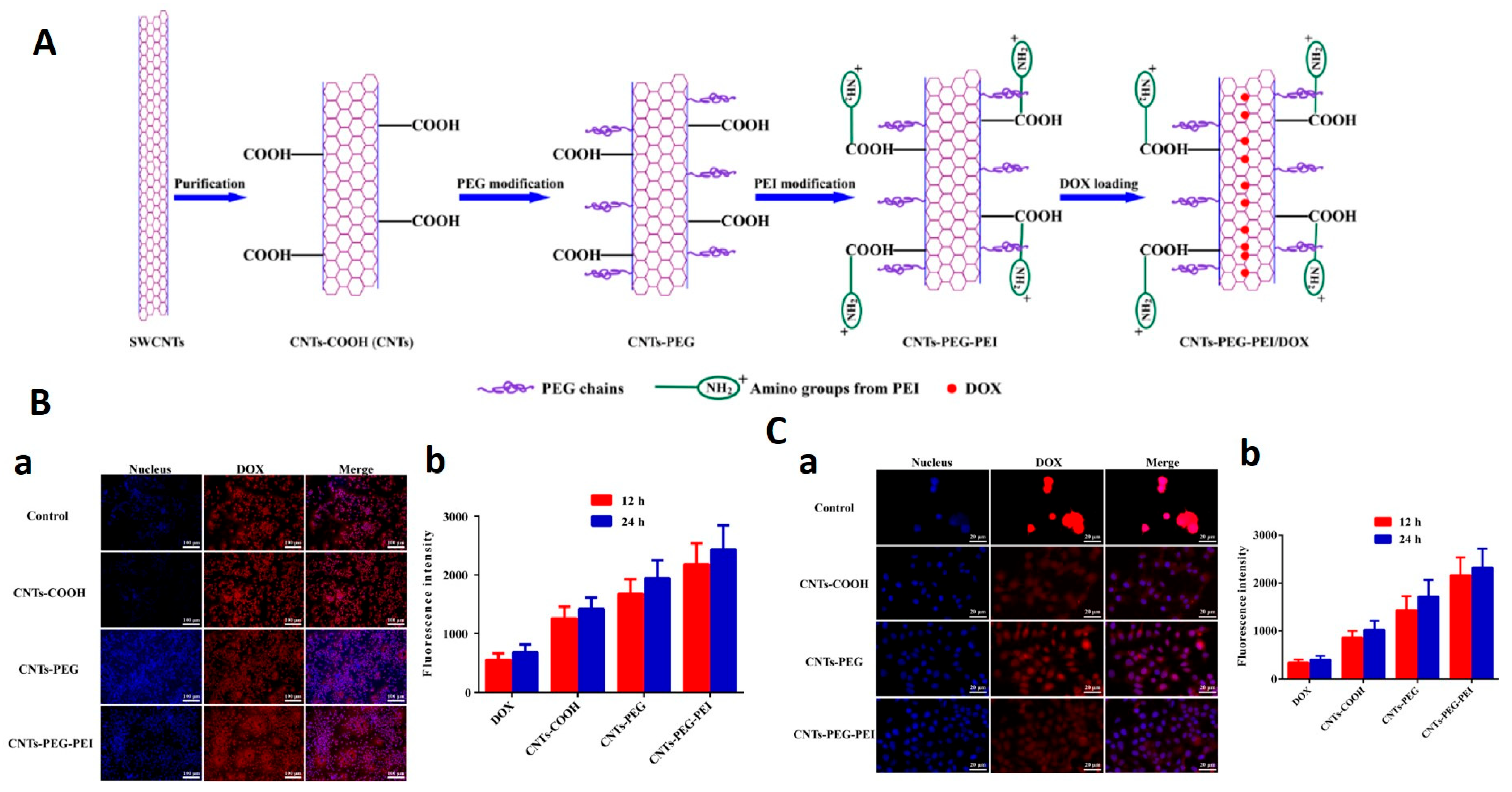 Nanomaterials 12 02283 g009 550