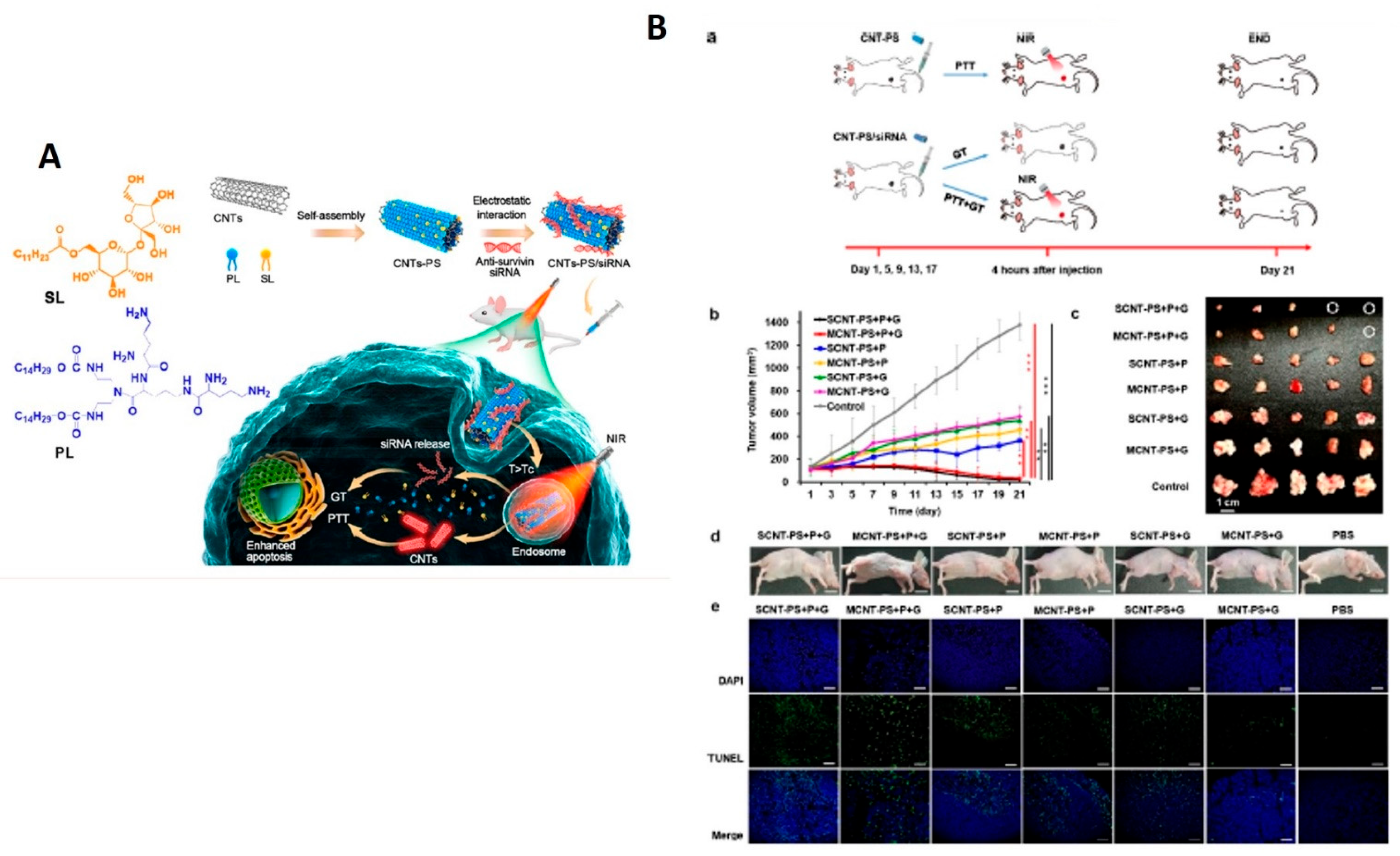 Nanomaterials 12 02283 g011 550