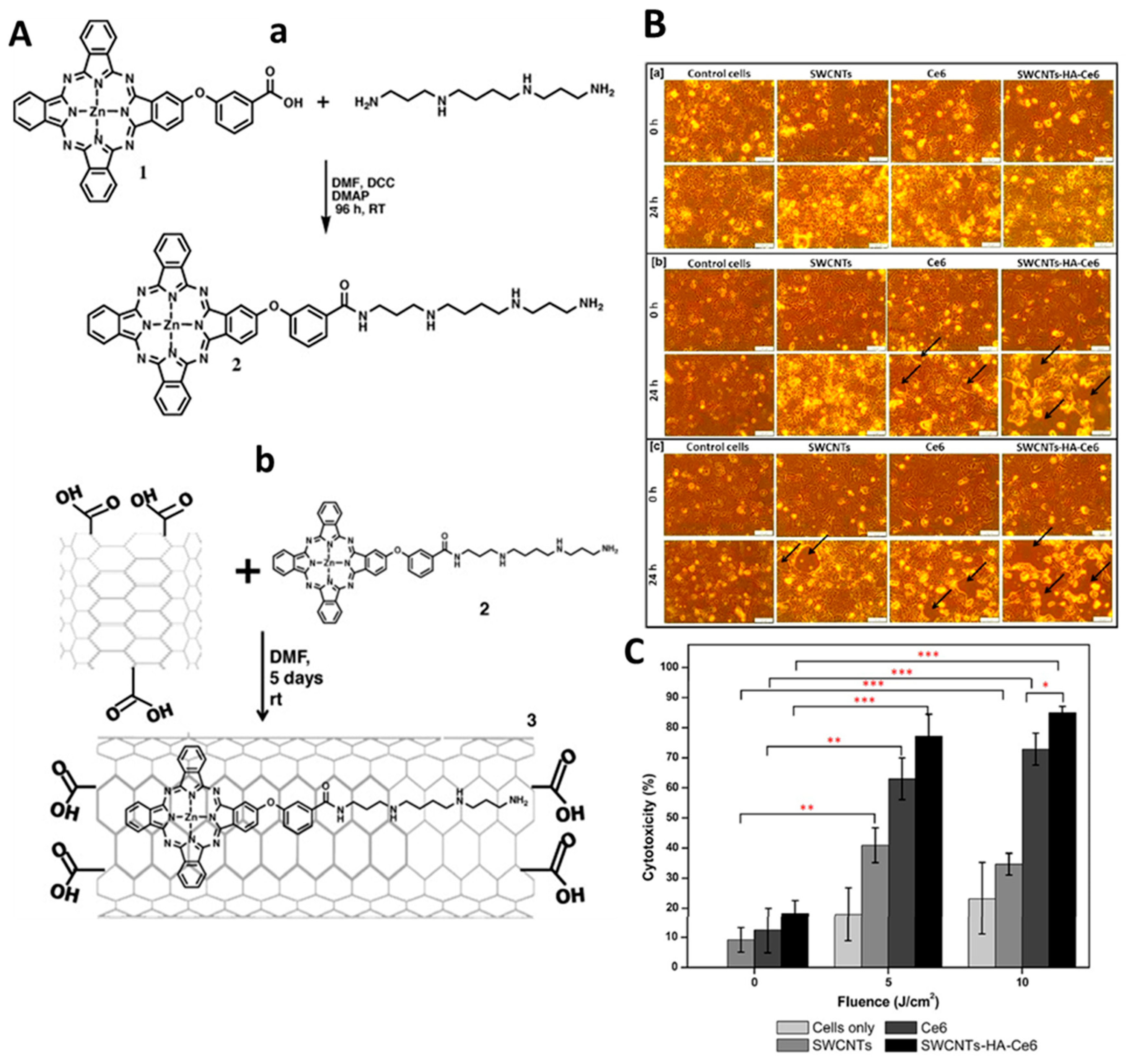 Nanomaterials 12 02283 g013 550