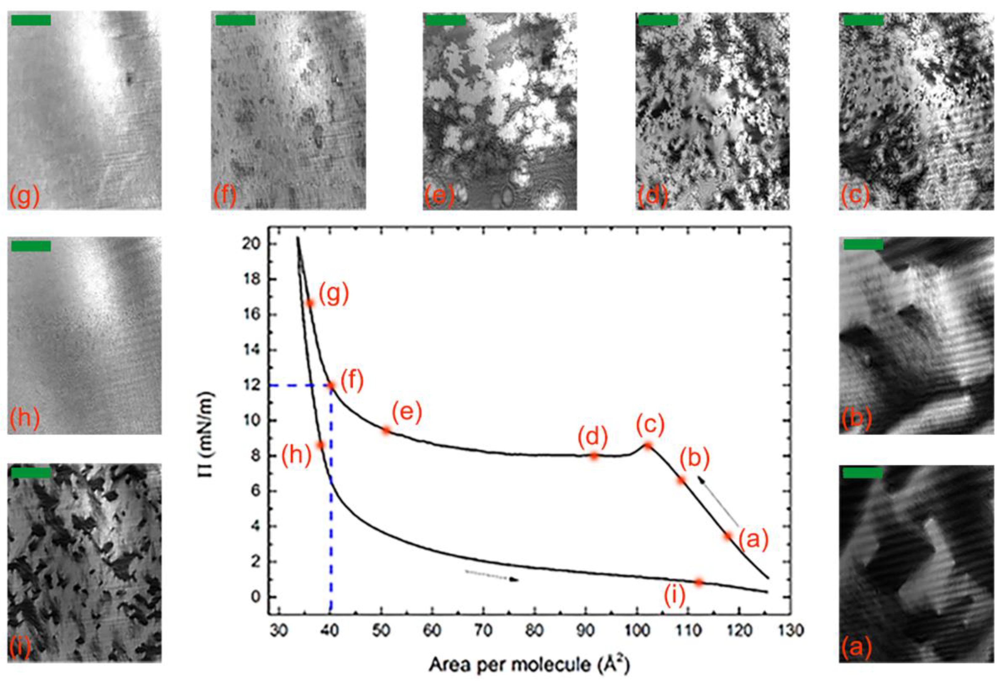 Nanomaterials 12 02285 g002
