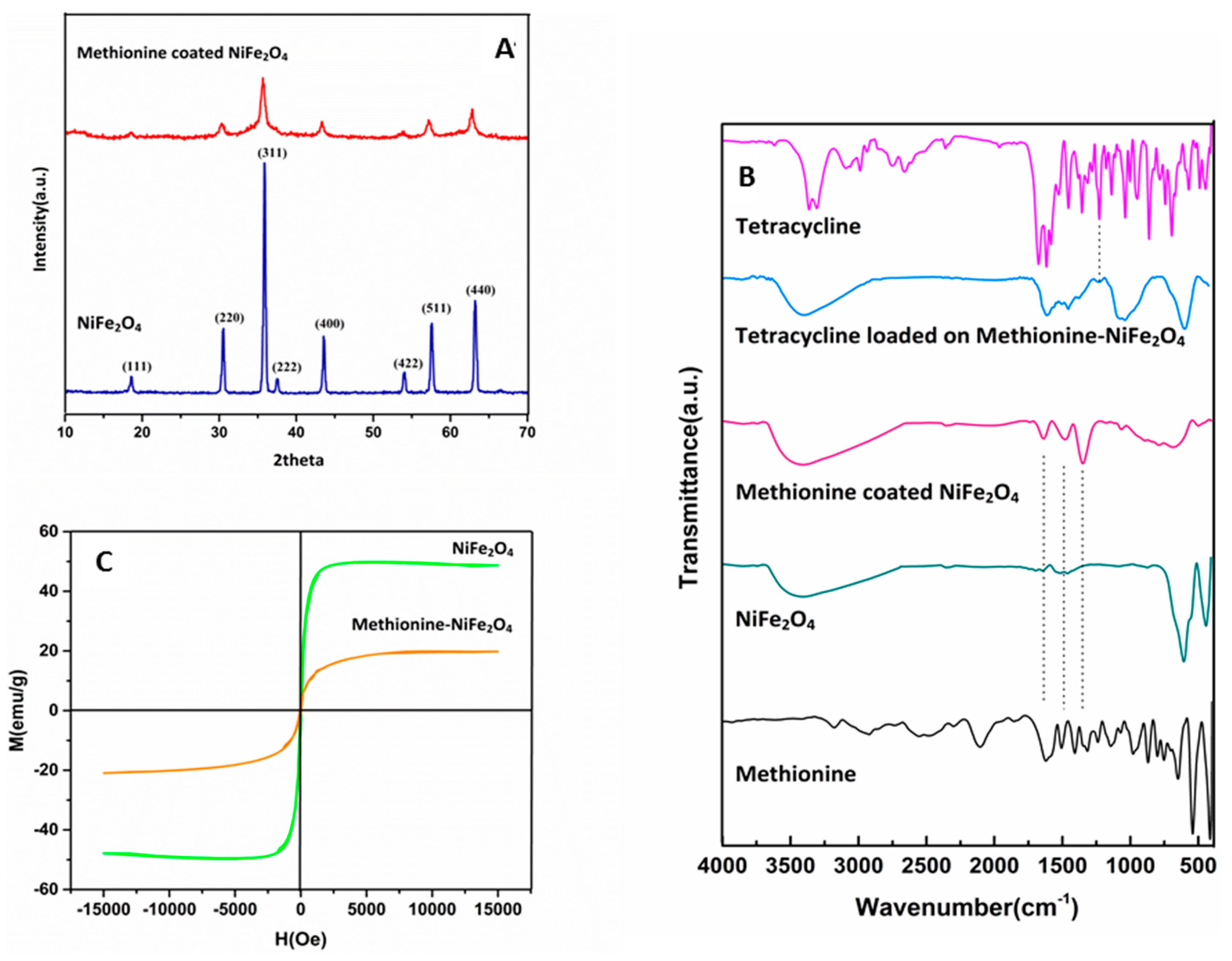 Nanomaterials 12 02286 g002 550