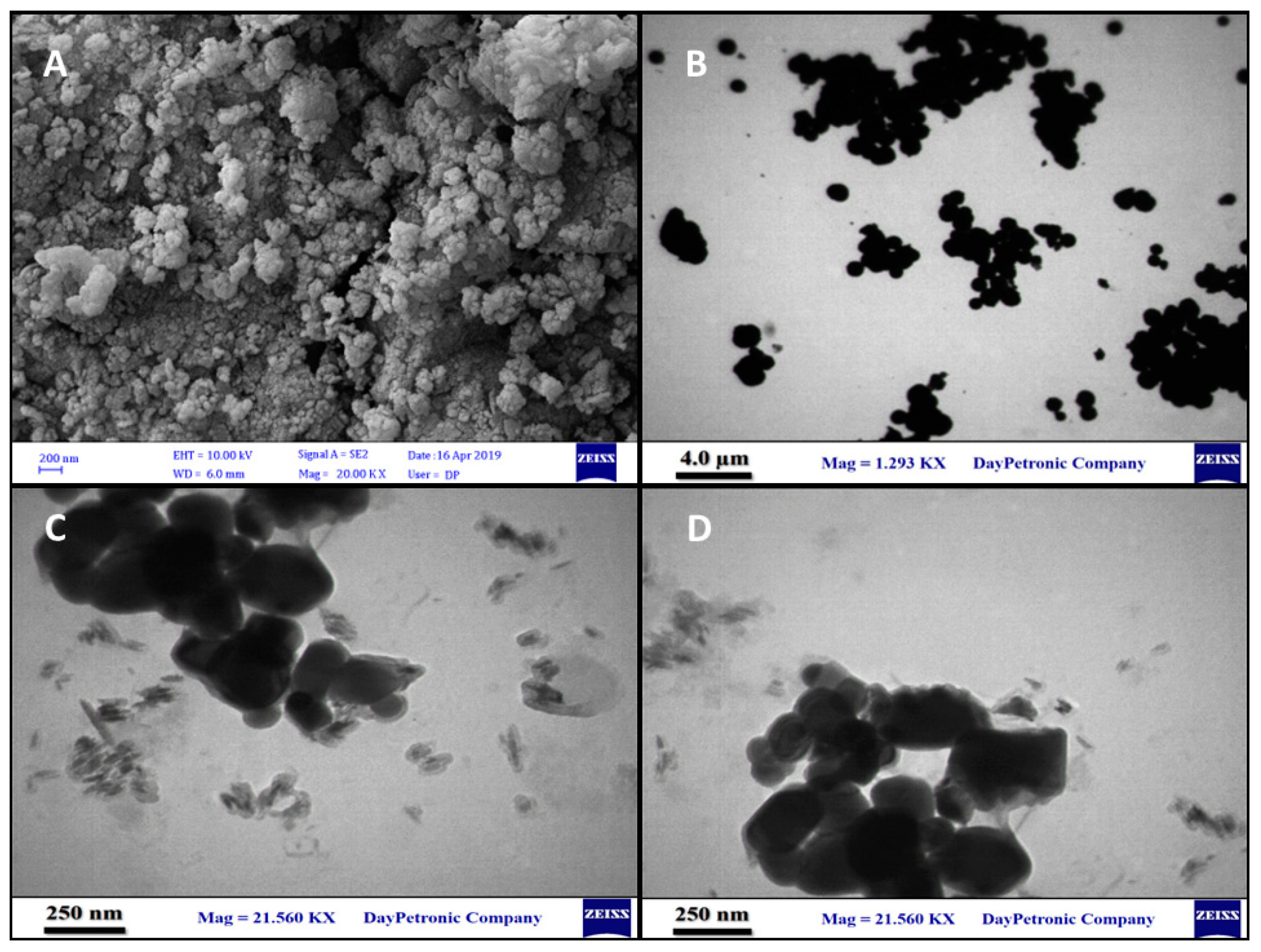 Nanomaterials 12 02286 g003 550