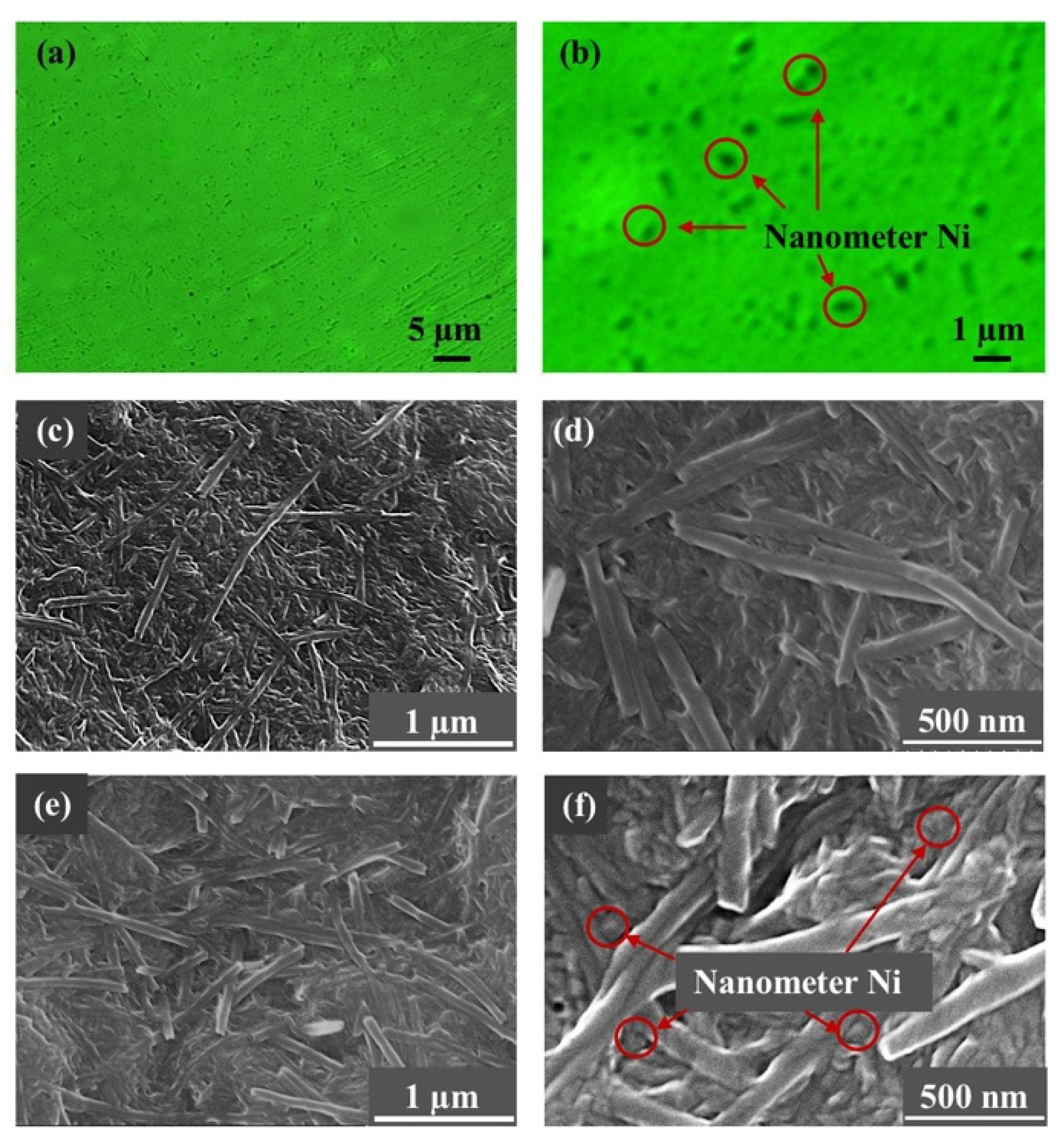 Nanomaterials 12 02287 g004