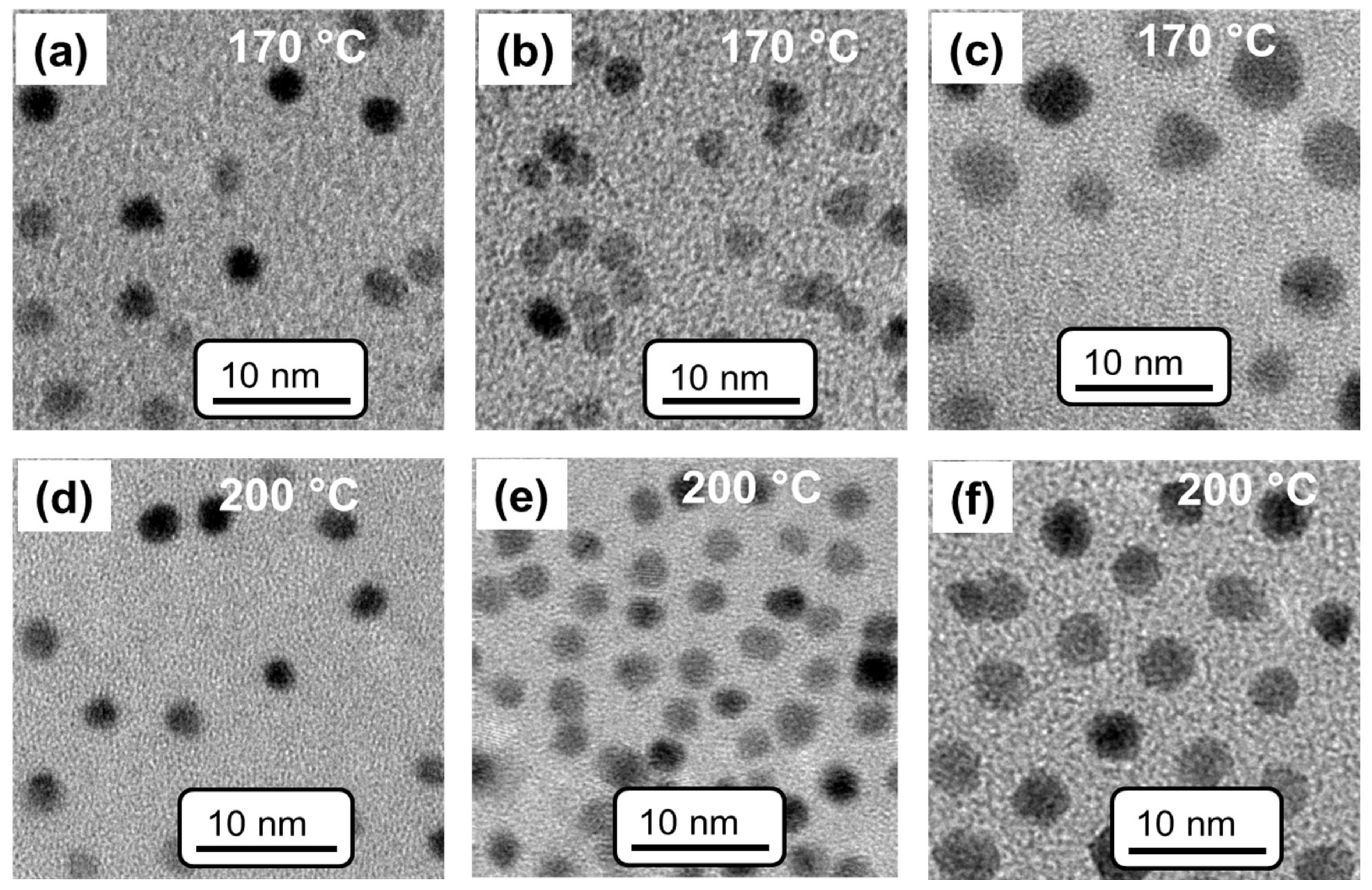 Nanomaterials 12 02294 g002 550
