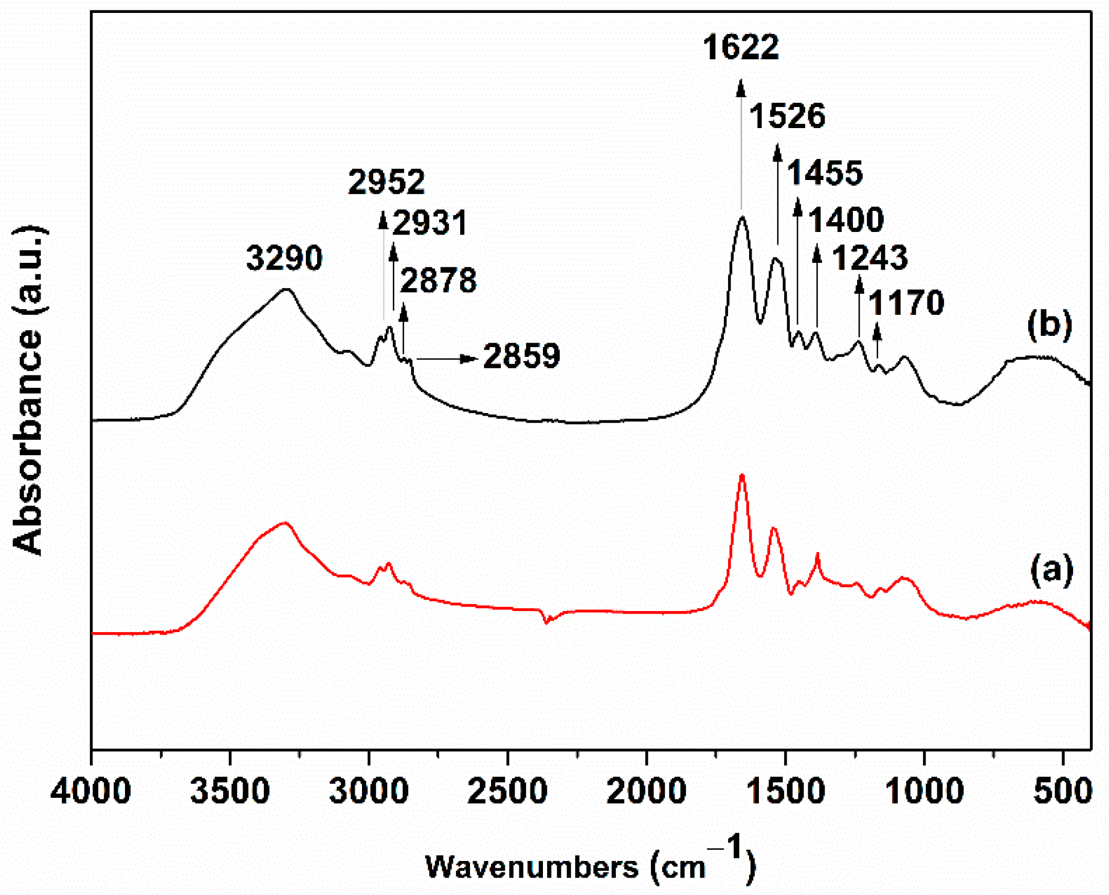 Nanomaterials 12 02296 g005 550