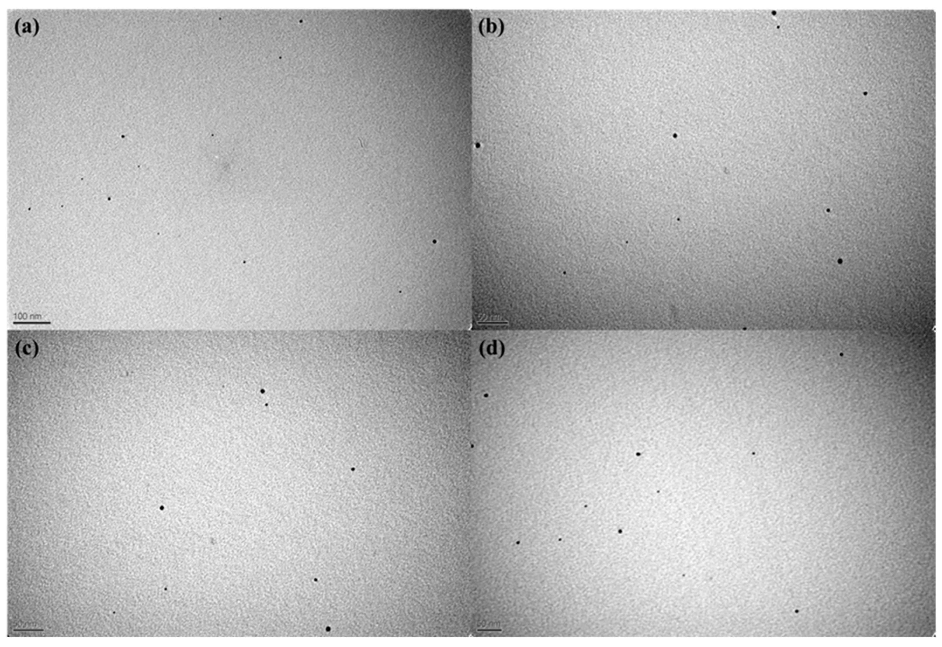 Nanomaterials 12 02296 g009 550