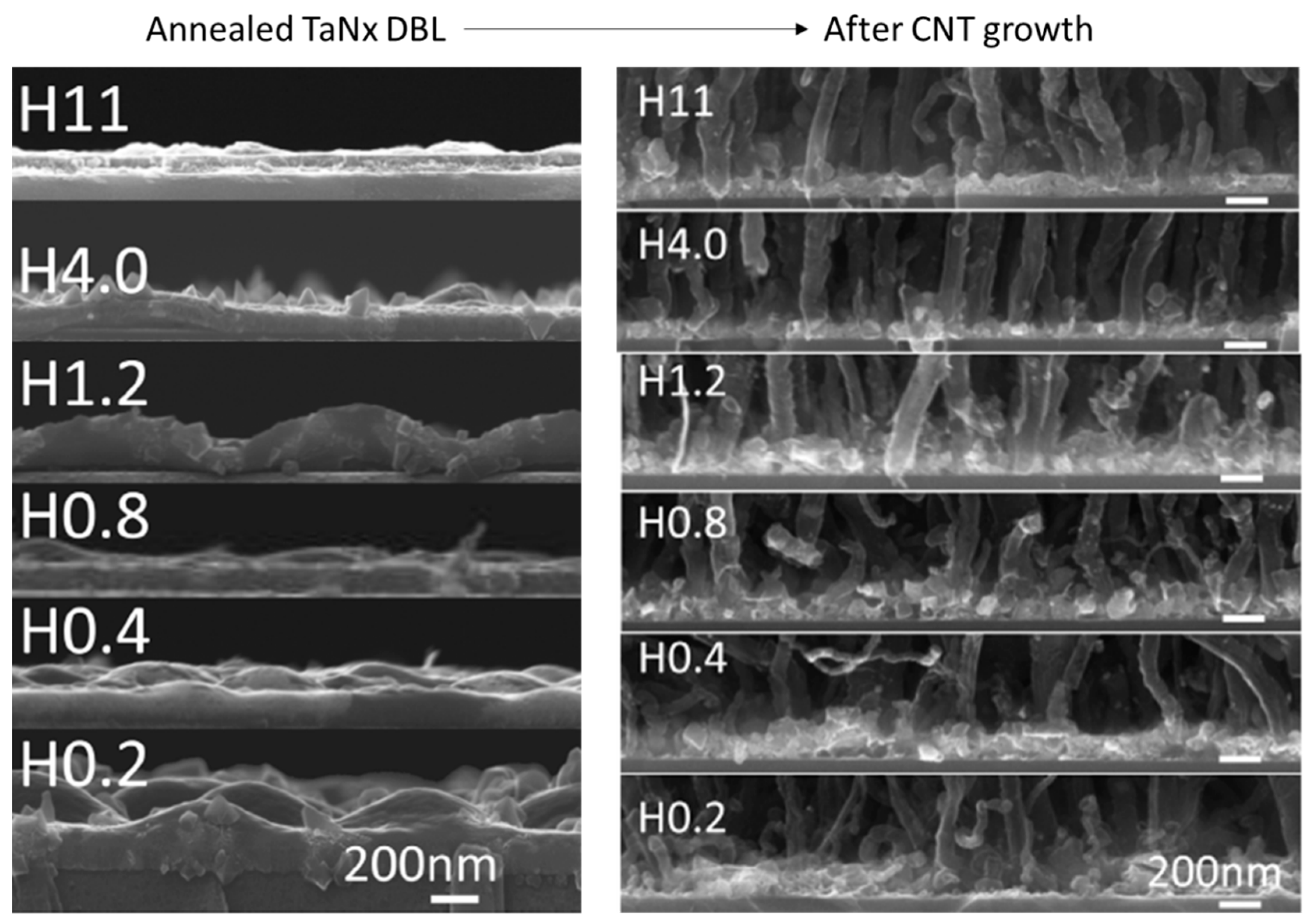 Nanomaterials 12 02300 g006 Nanomaterials 12 02300 g006