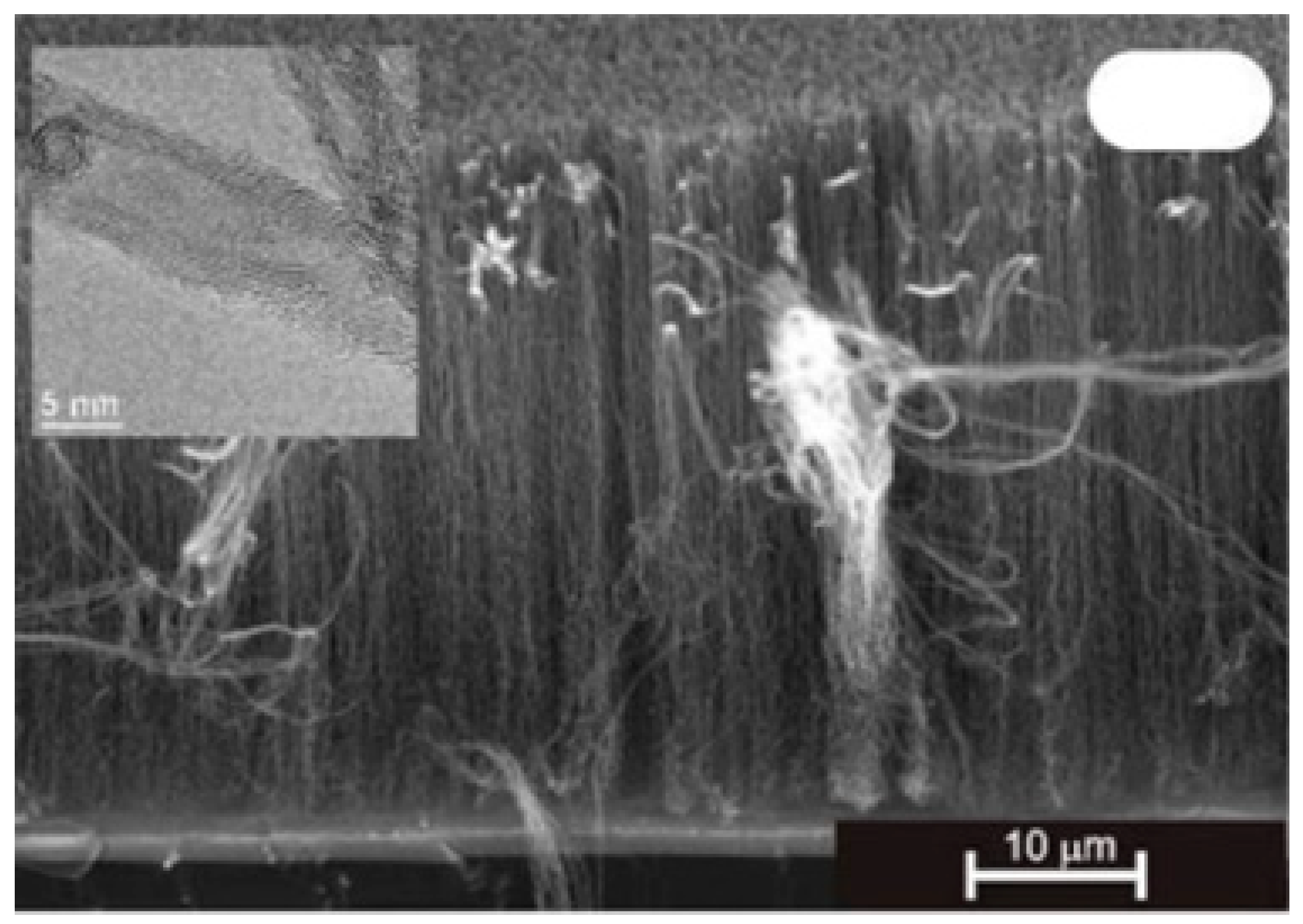 Nanomaterials 12 02300 g007 Nanomaterials 12 02300 g007