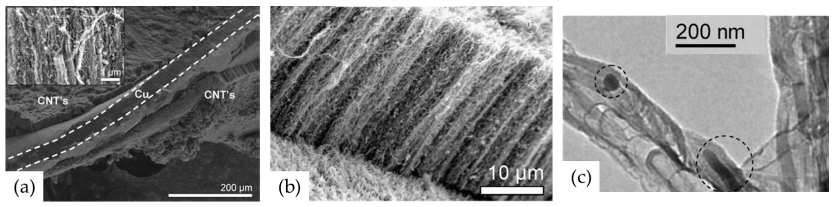 Nanomaterials 12 02300 g008 Nanomaterials 12 02300 g008