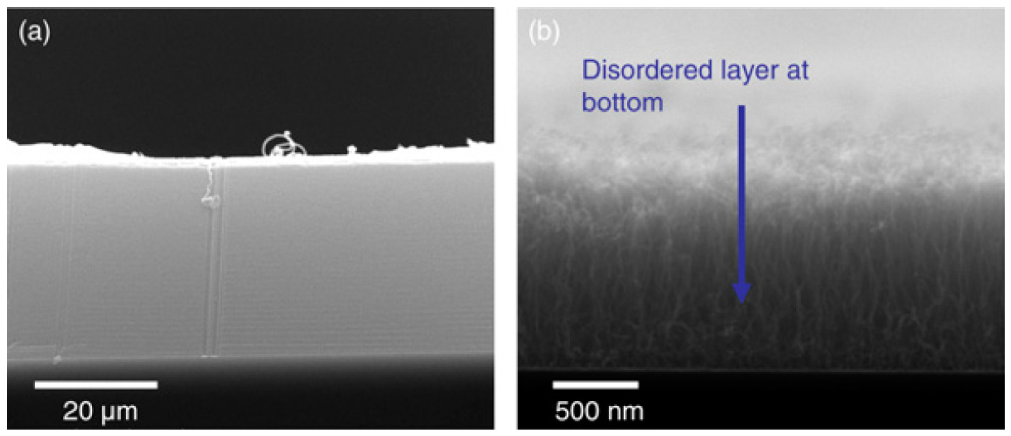 Nanomaterials 12 02300 g009 Nanomaterials 12 02300 g009