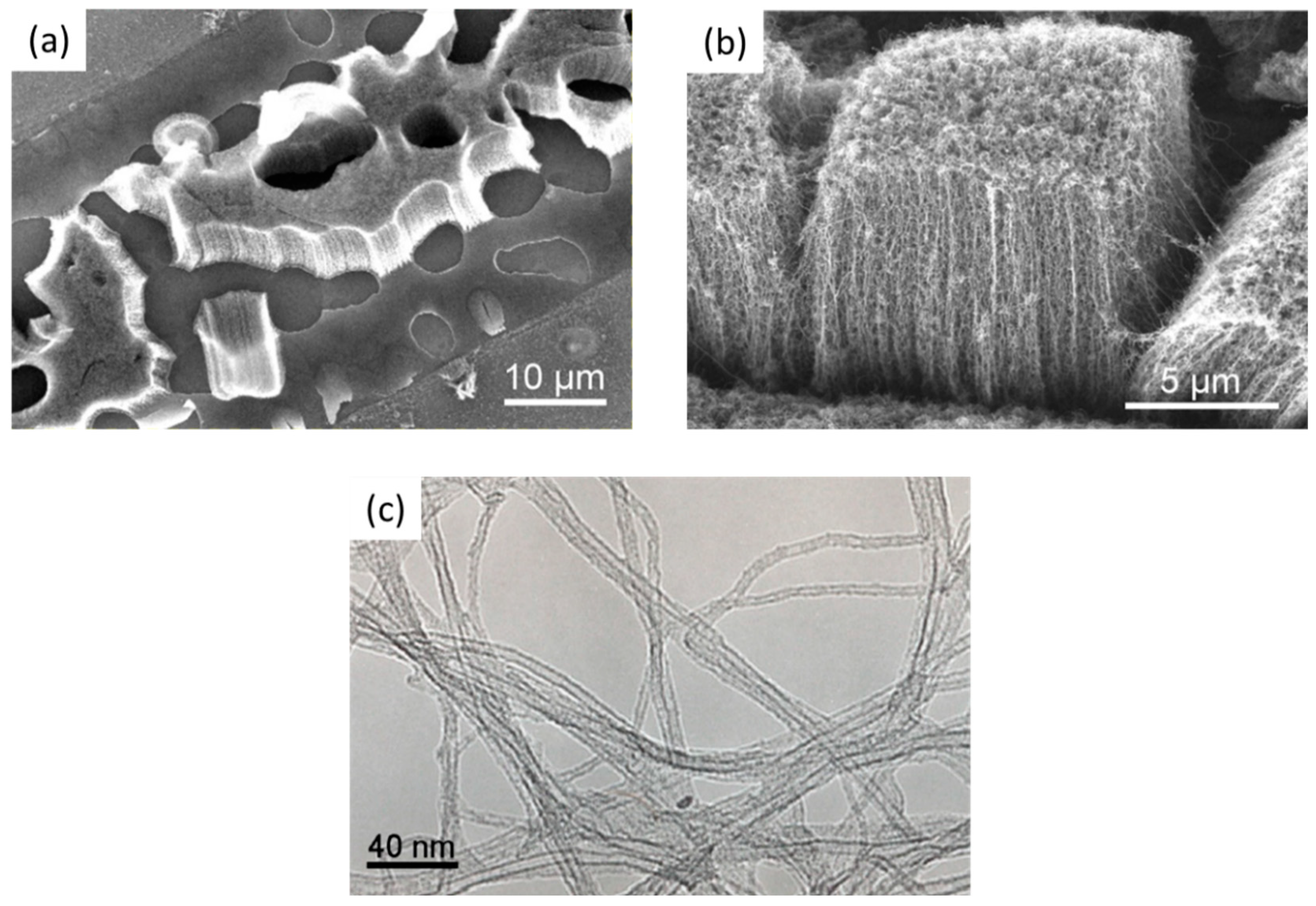 Nanomaterials 12 02300 g010 Nanomaterials 12 02300 g010