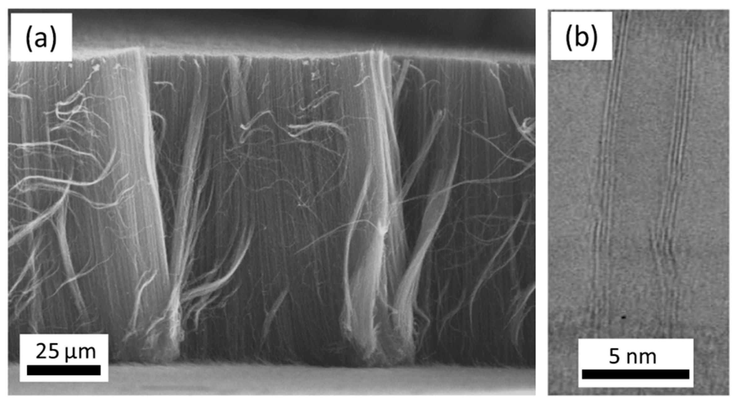 Nanomaterials 12 02300 g012 Nanomaterials 12 02300 g012