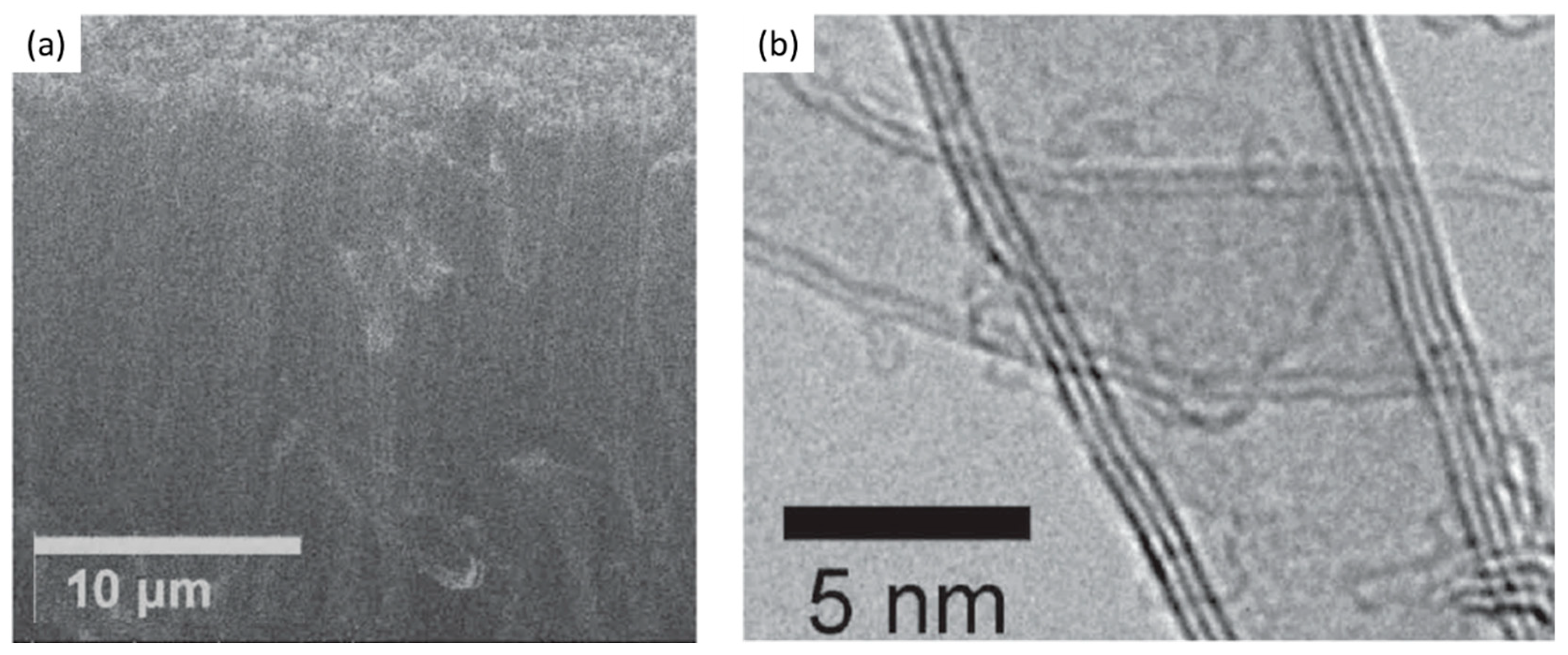 Nanomaterials 12 02300 g014 Nanomaterials 12 02300 g014
