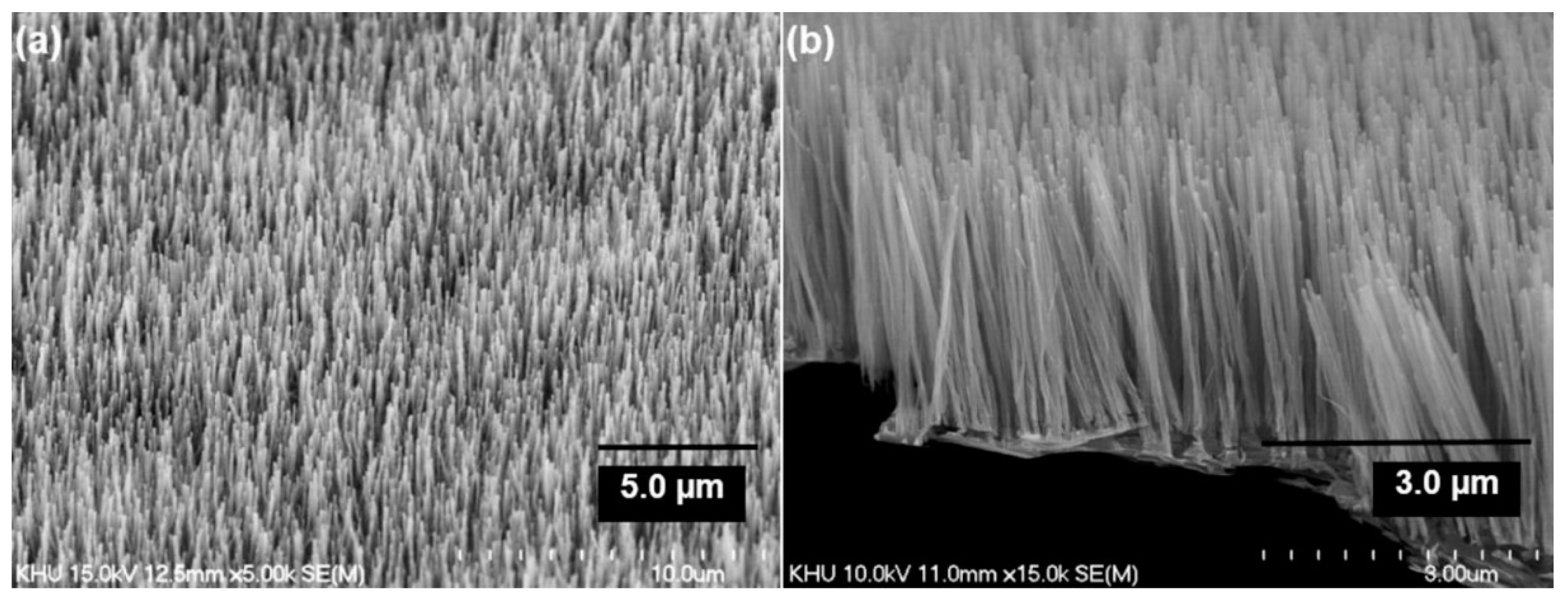 Nanomaterials 12 02300 g021 Nanomaterials 12 02300 g021