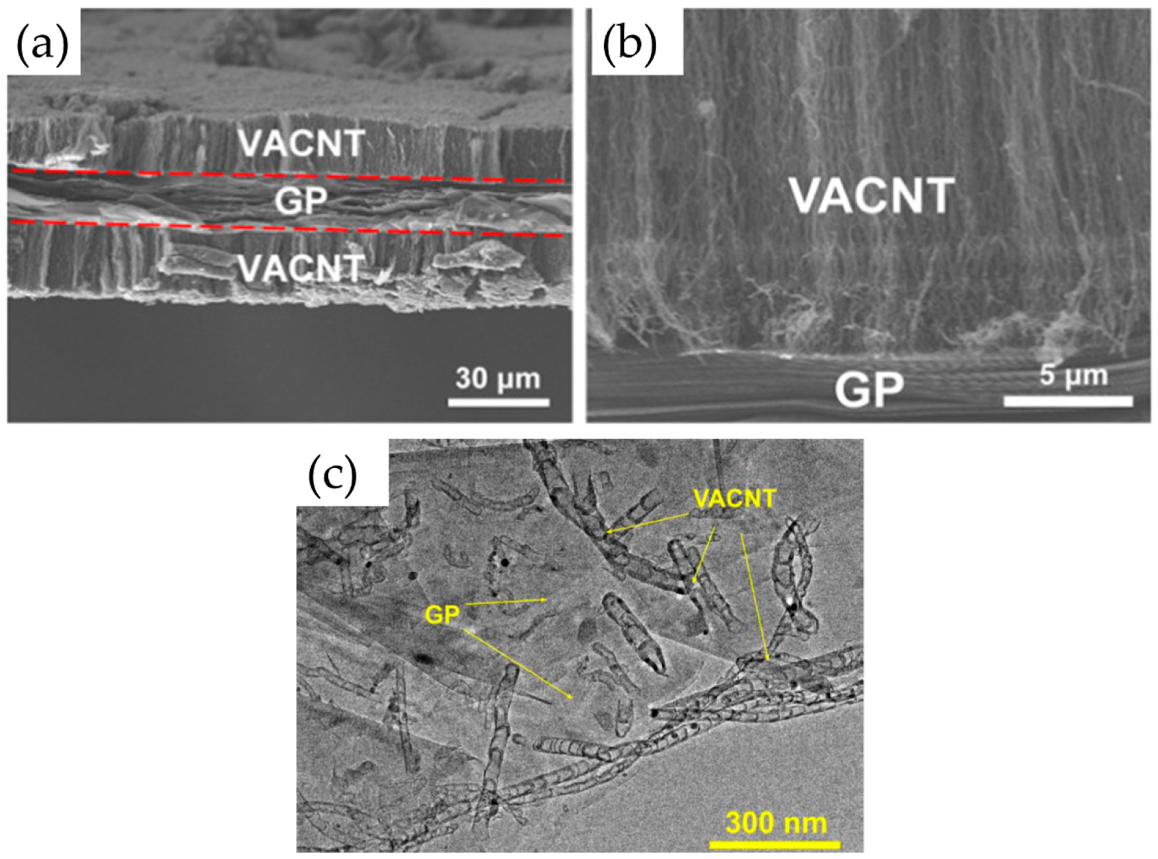 Nanomaterials 12 02300 g022 Nanomaterials 12 02300 g022