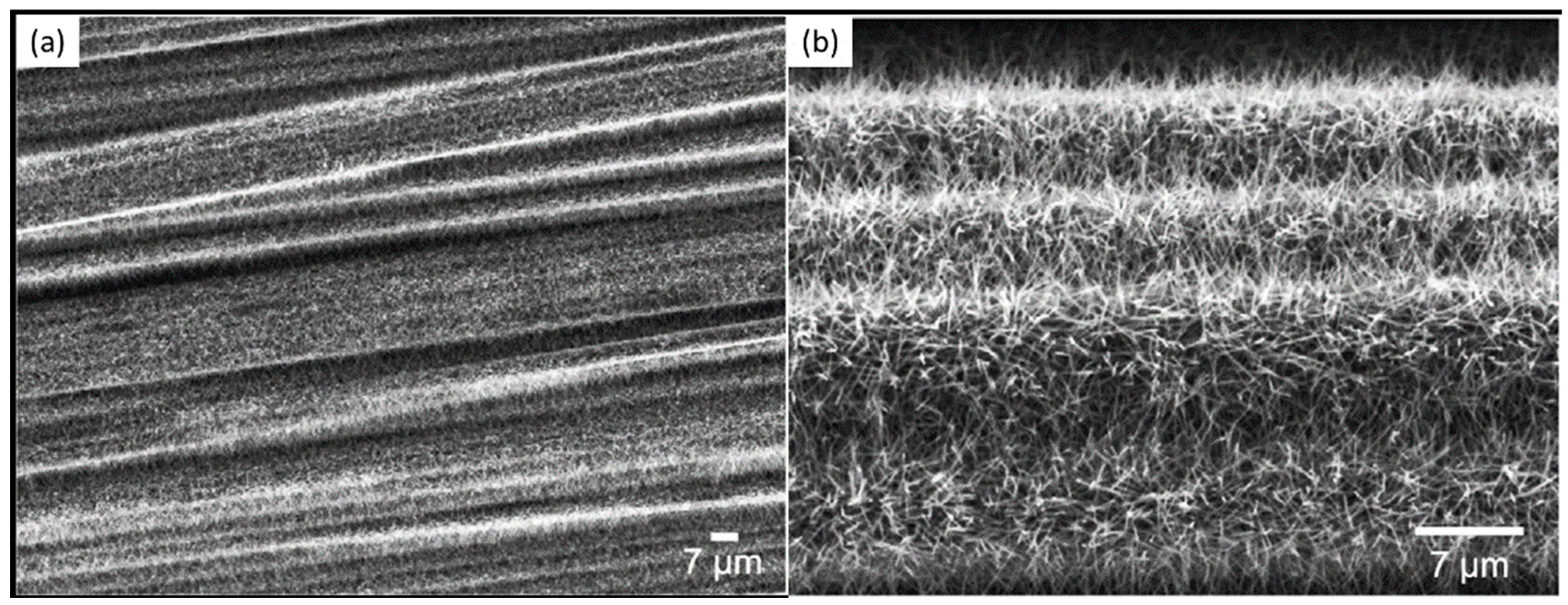 Nanomaterials 12 02300 g023 Nanomaterials 12 02300 g023