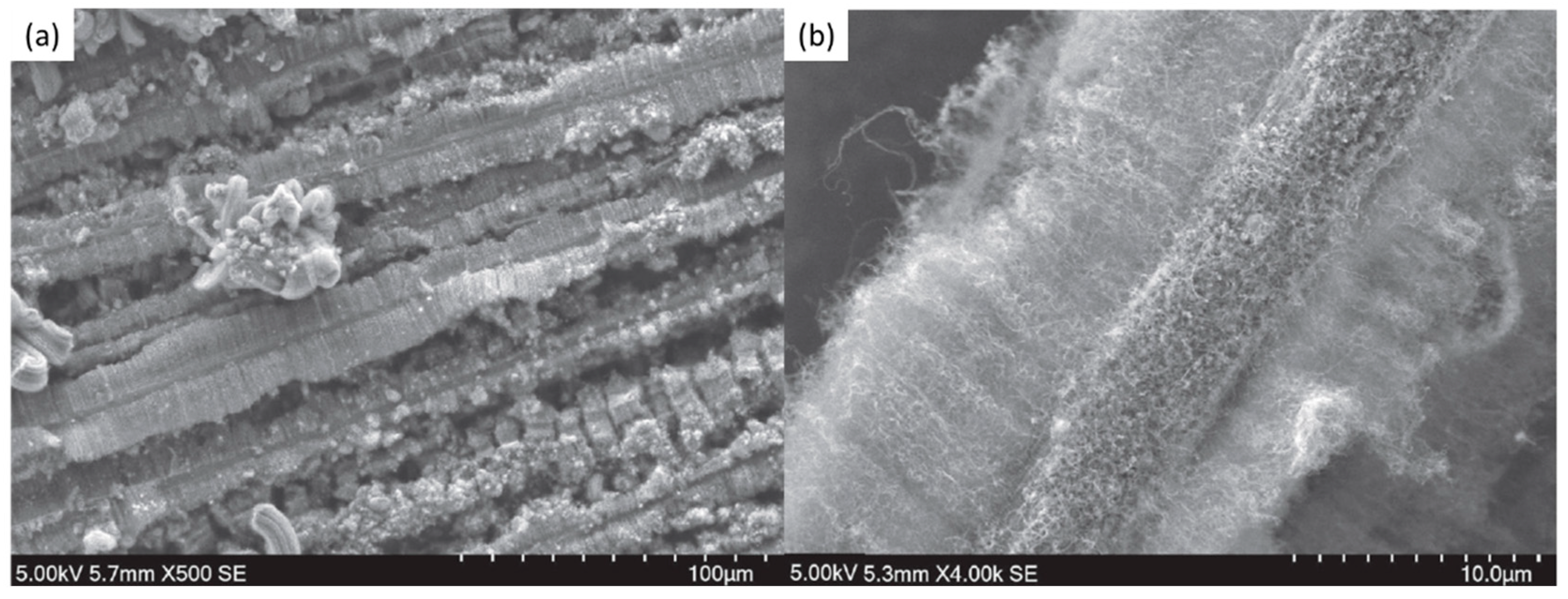 Nanomaterials 12 02300 g026 Nanomaterials 12 02300 g026