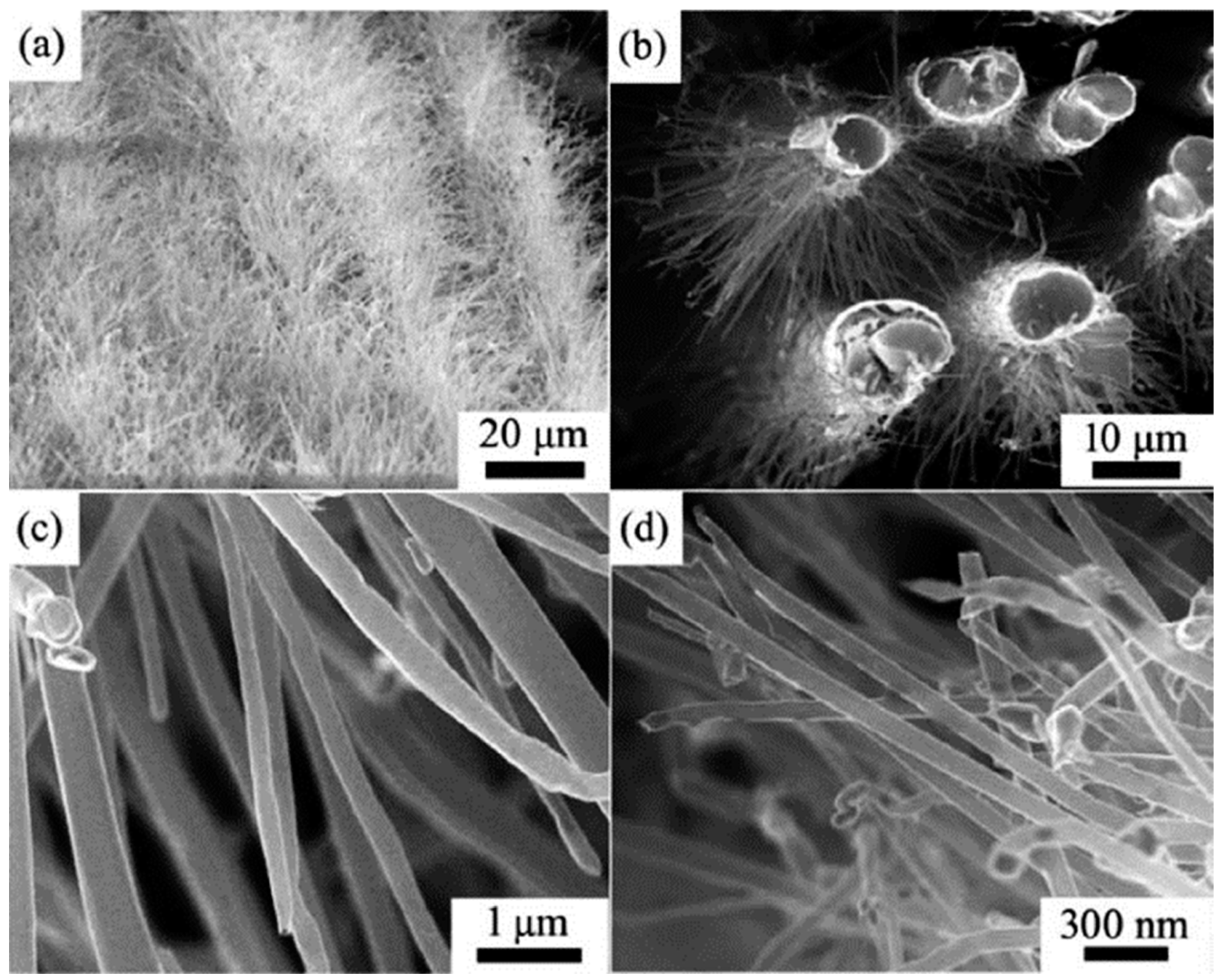 Nanomaterials 12 02300 g027 Nanomaterials 12 02300 g027