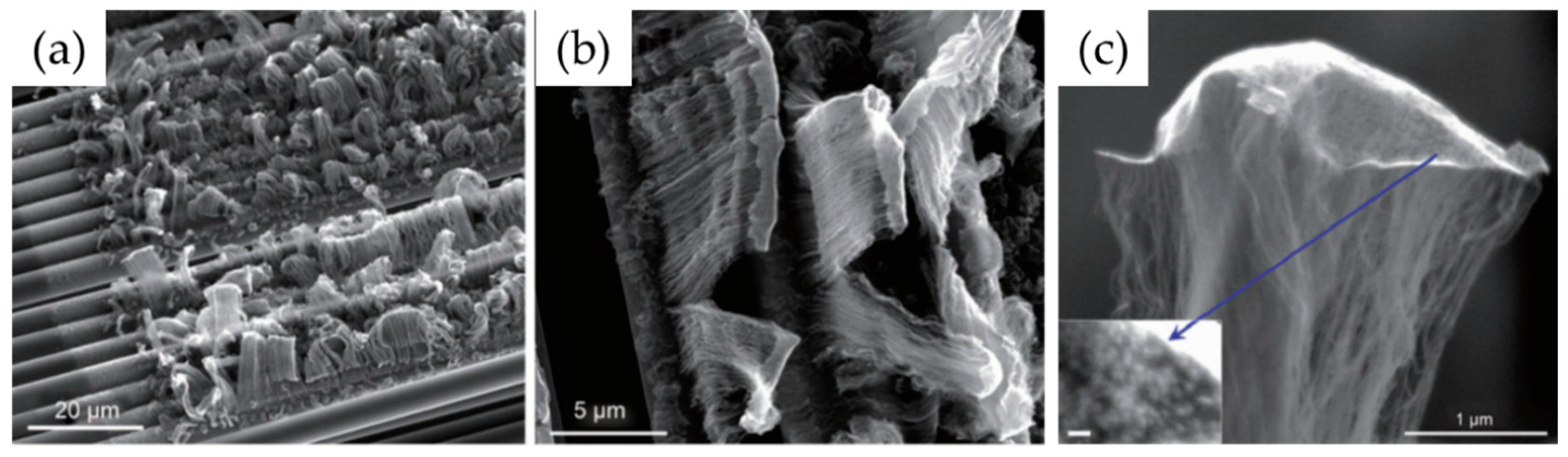 Nanomaterials 12 02300 g029 Nanomaterials 12 02300 g029