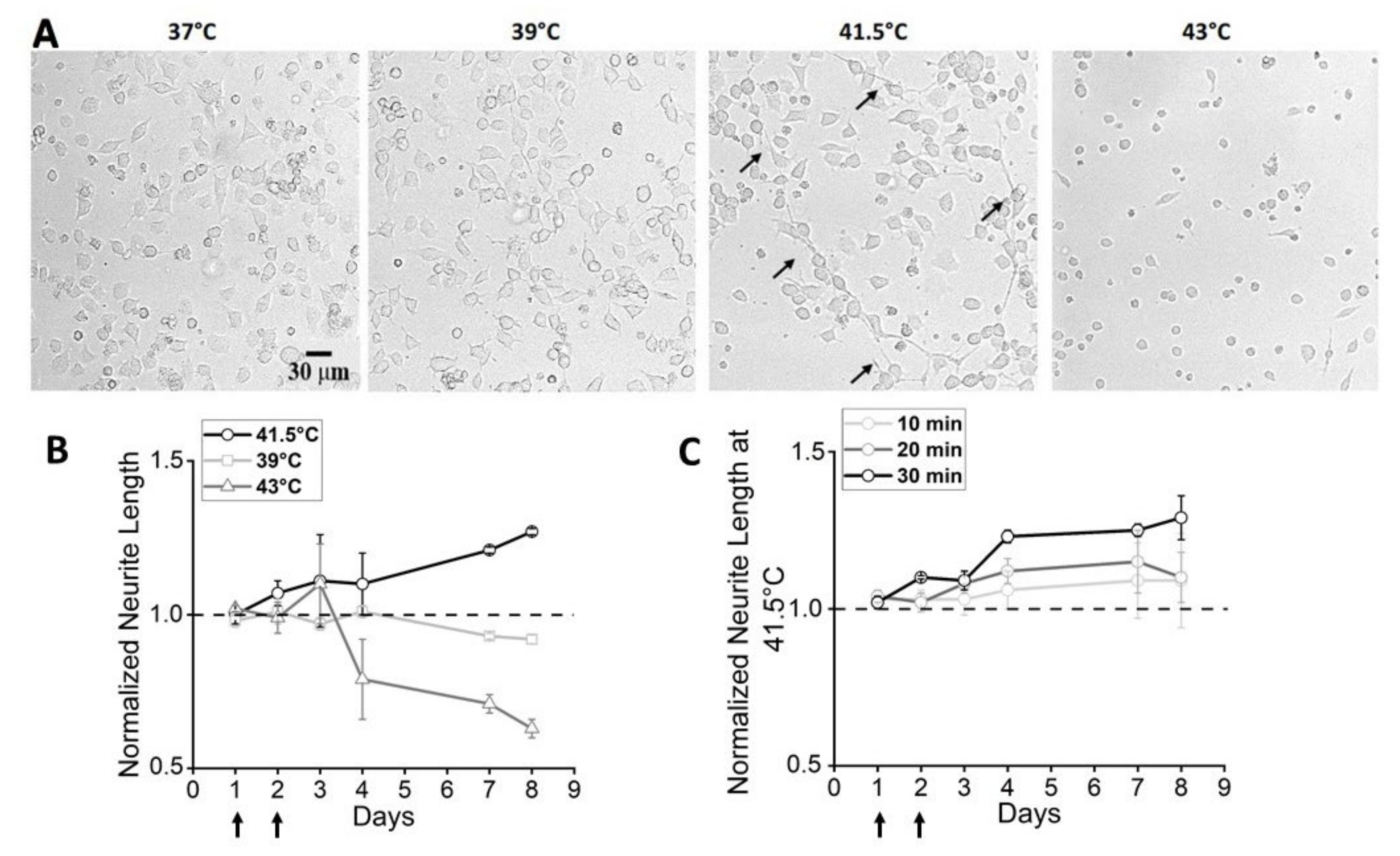 Nanomaterials 12 02304 g001 550